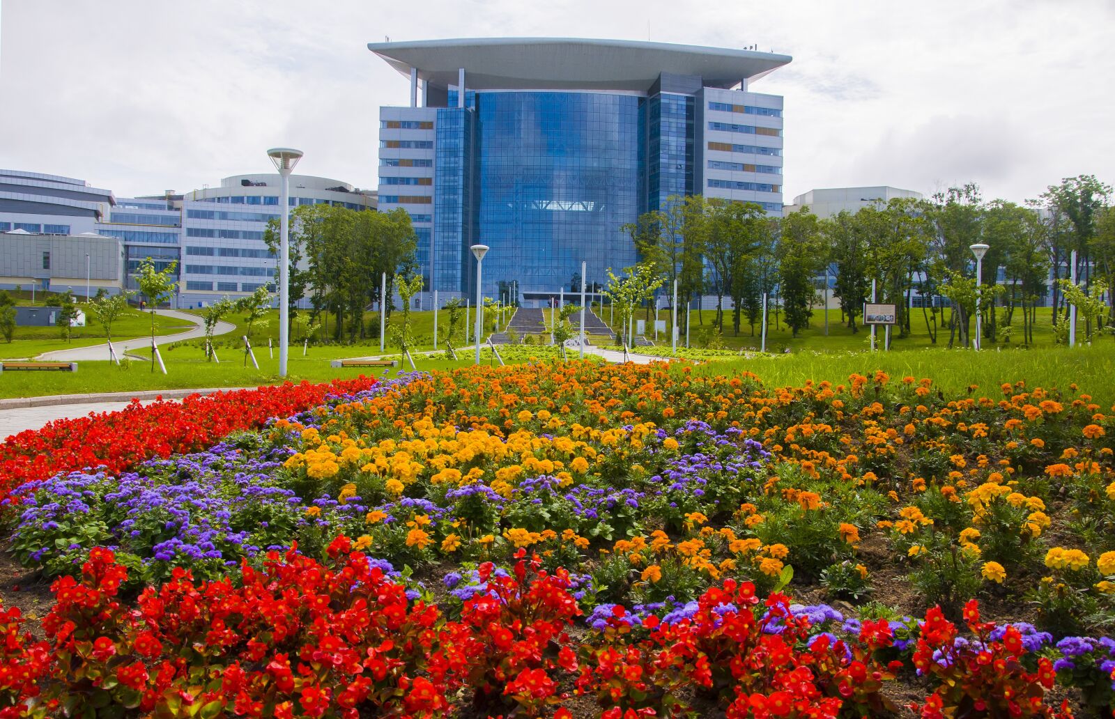 Nikon D90 sample photo. Fefu, university, vladivostok photography
