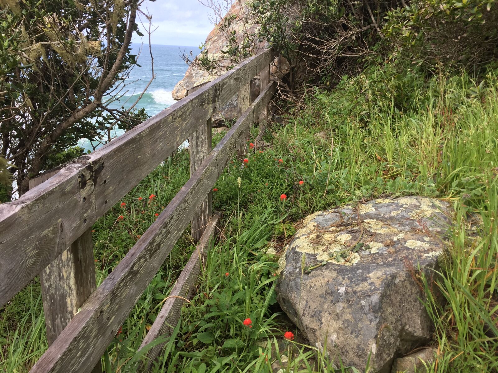 Apple iPhone 6 sample photo. Salt, point, state, park photography