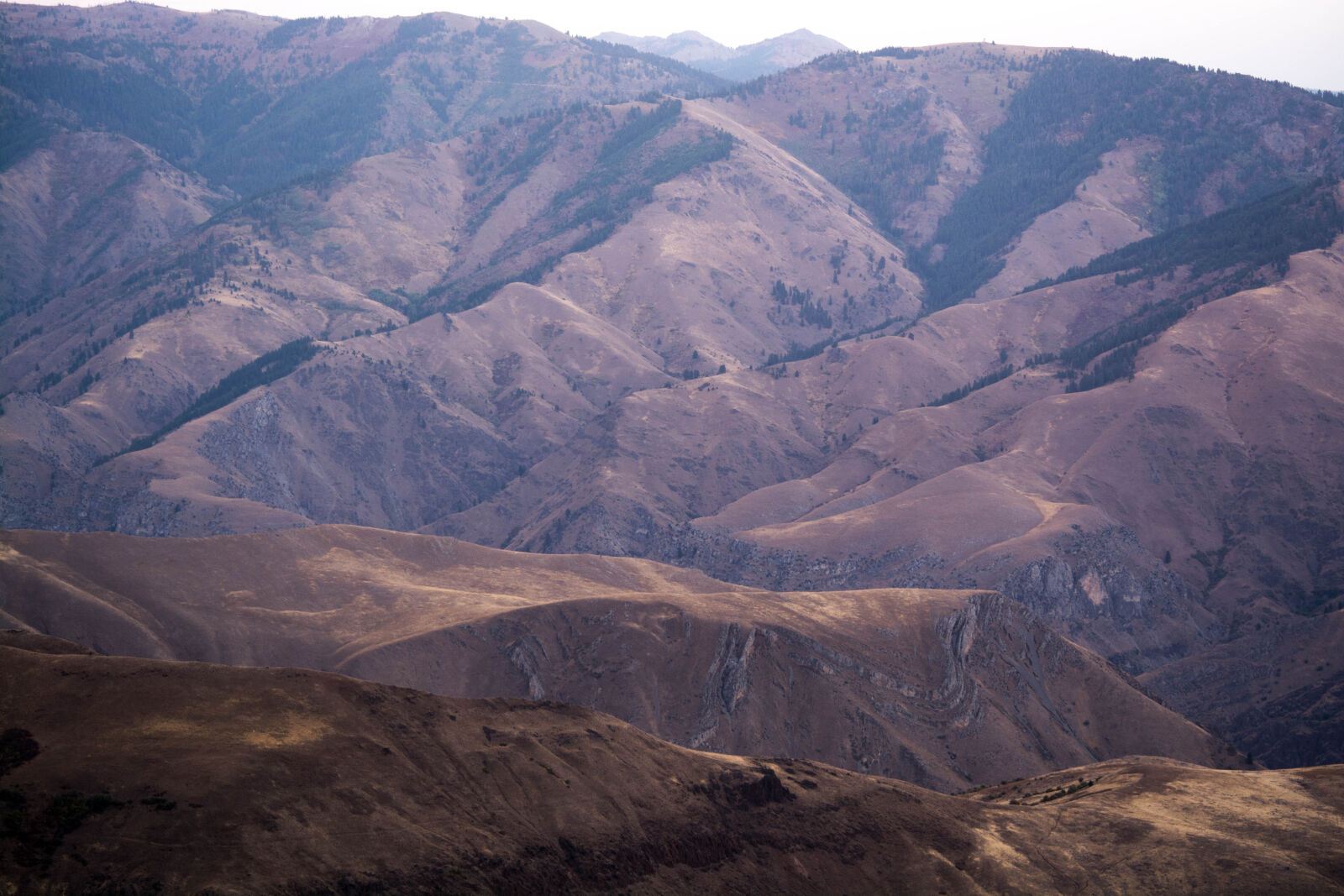 Nikon D5200 sample photo