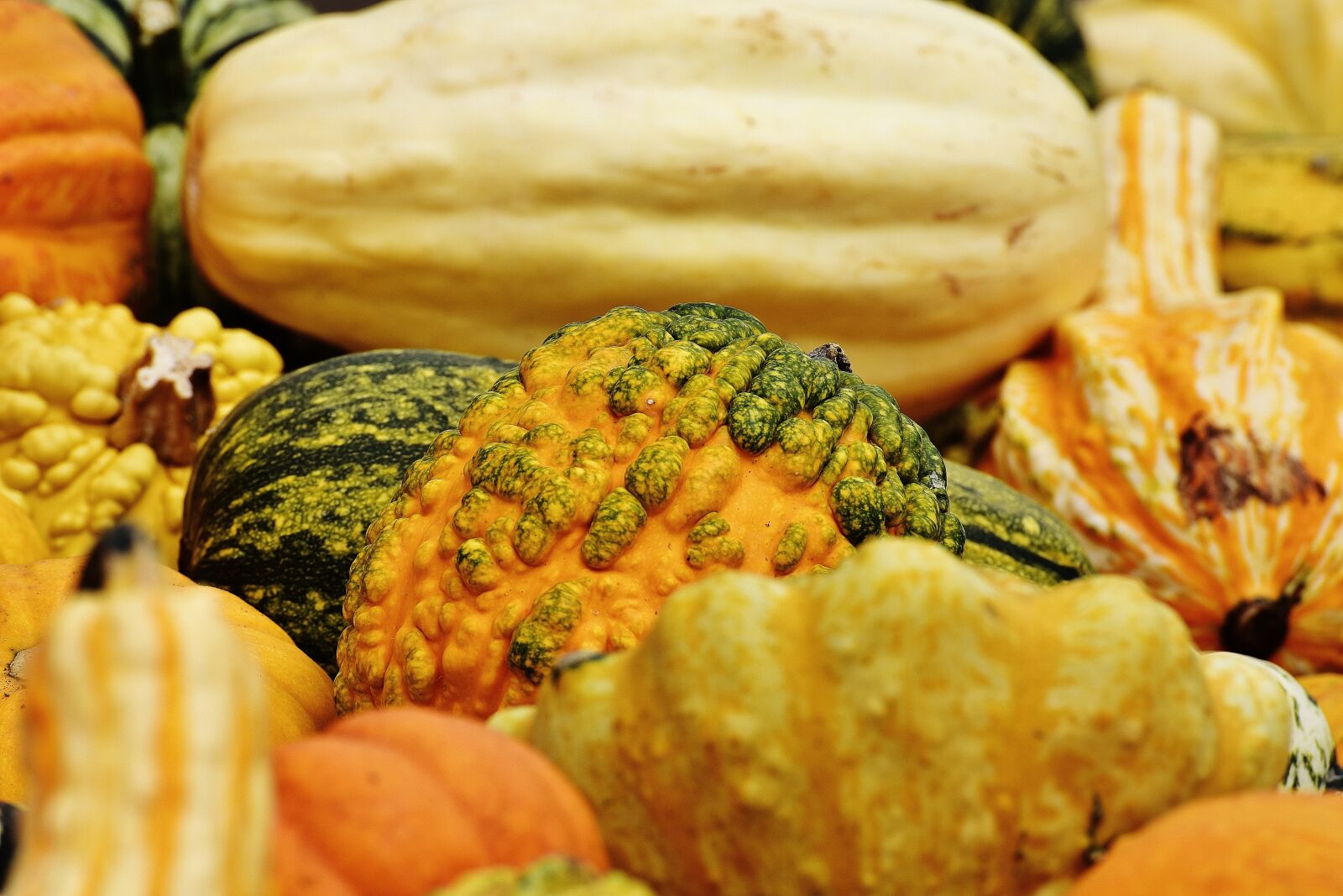 Nikon D7200 sample photo. Pumpkins, autumn, autumn decoration photography