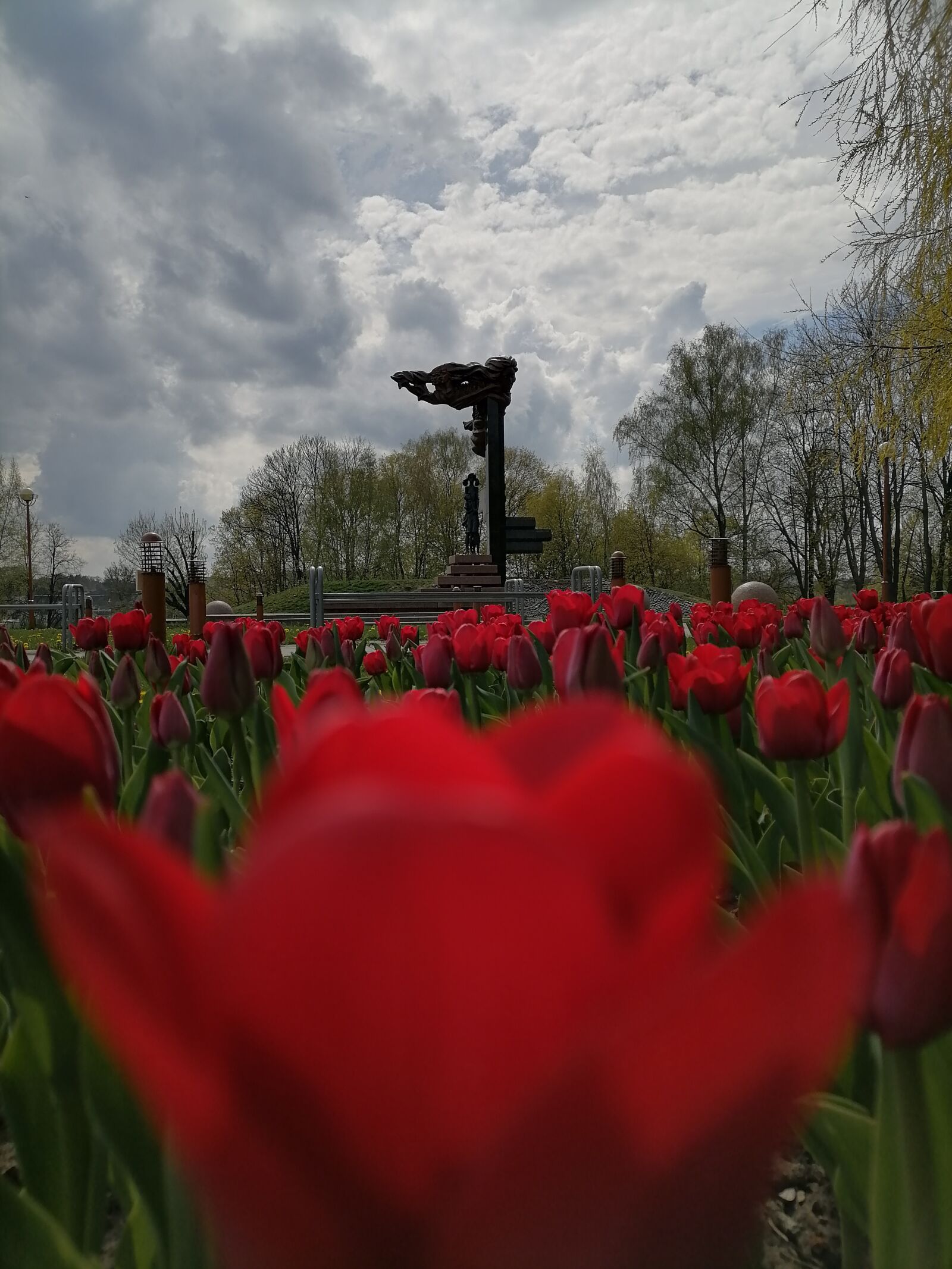 HUAWEI ART-L29 sample photo. Victory day, memory, victory photography