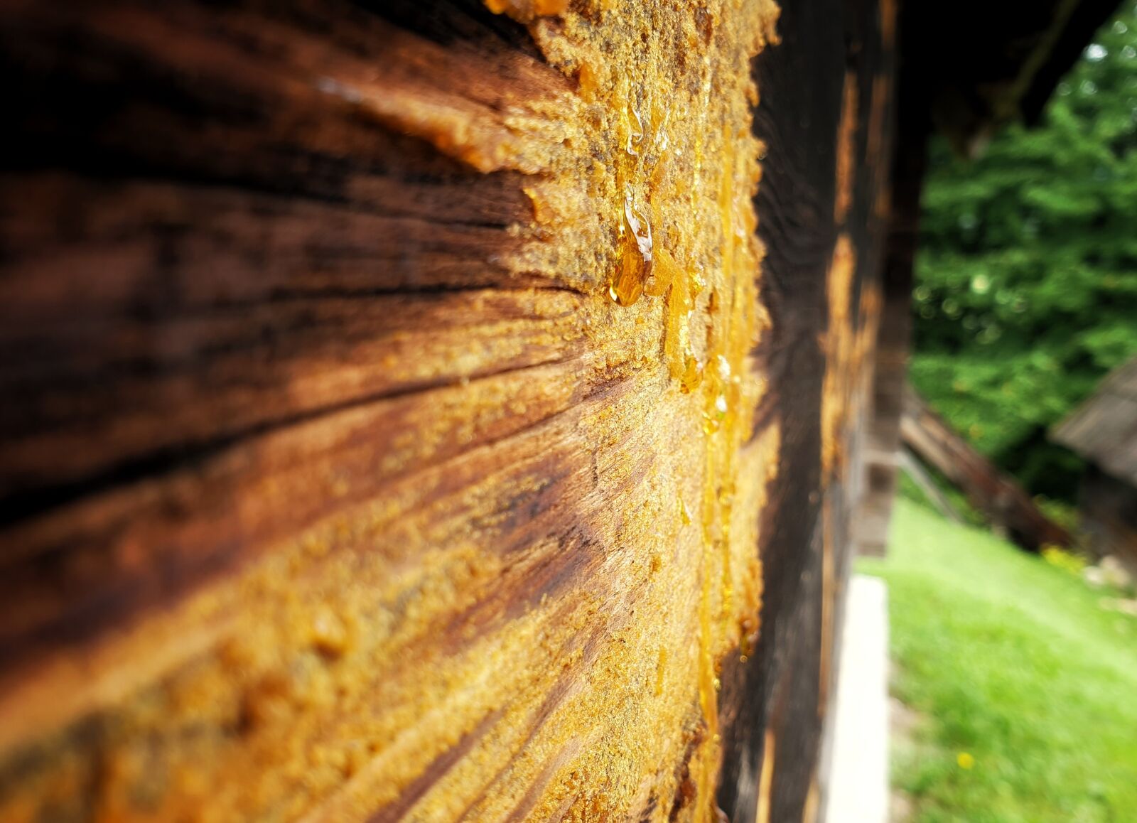 Samsung SM-N960F sample photo. Wood, house, home photography