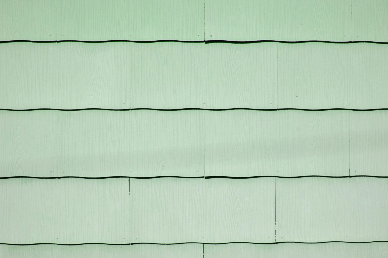 f/3.5-5.6 IS sample photo. Light green paint, scallop photography