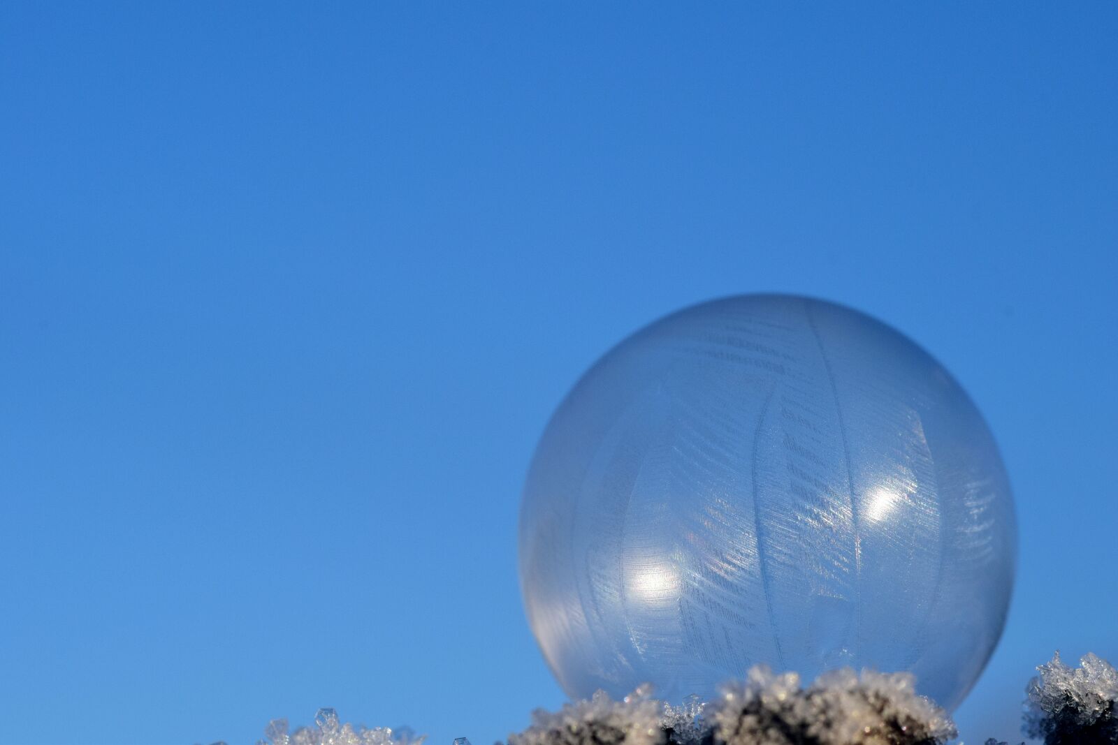 Nikon D3300 sample photo. Ball, frozen, frosted photography