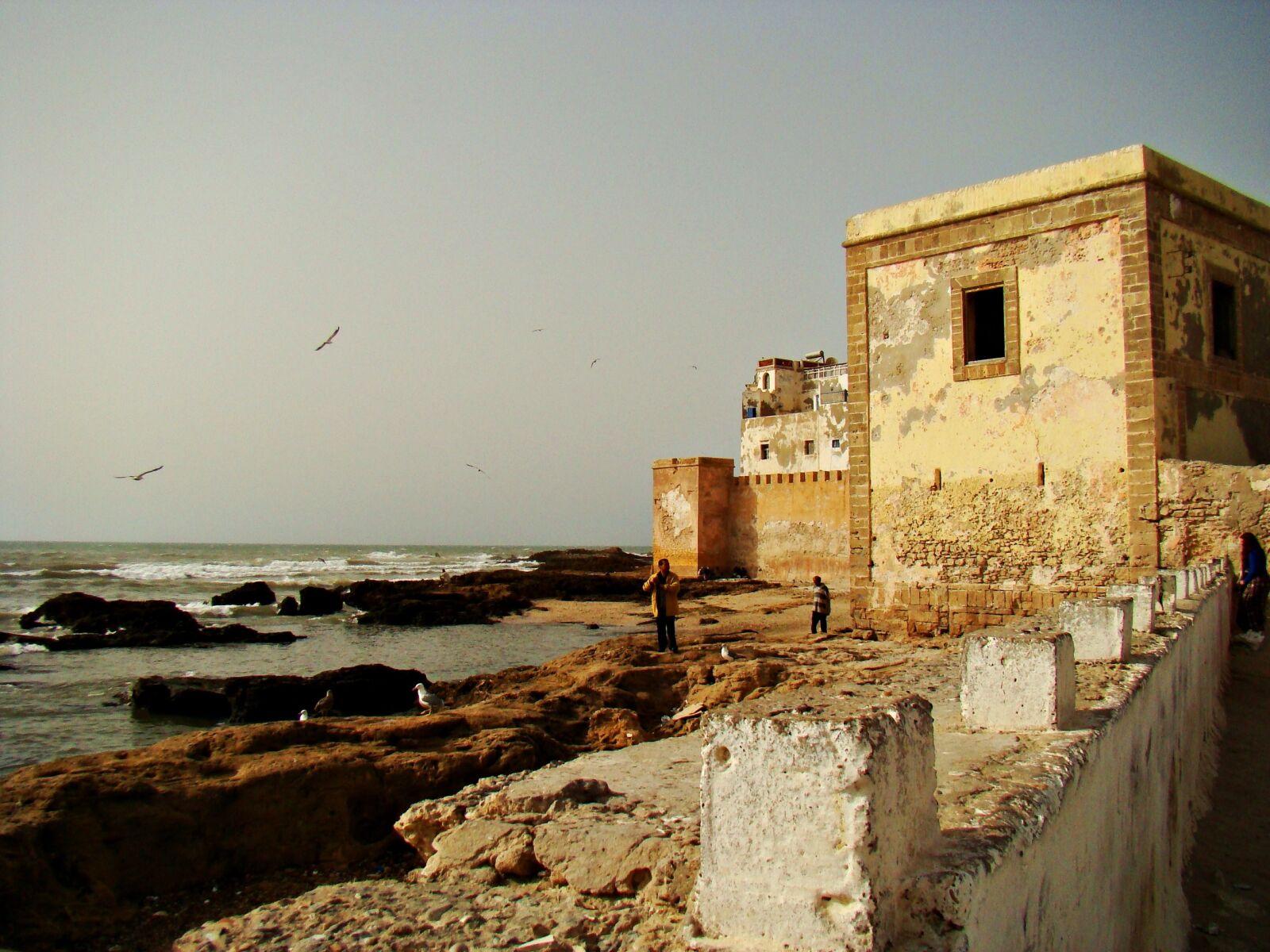 Sony DSC-H9 sample photo. Essaouira, morocco, north africa photography