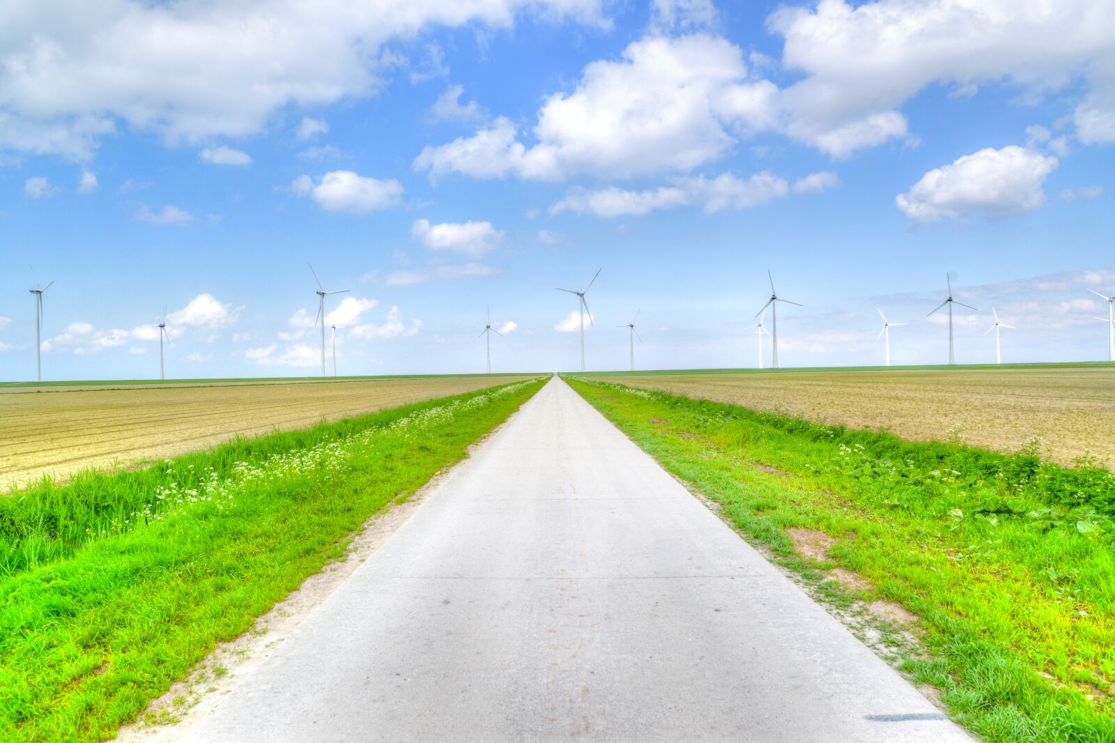 Nikon D610 sample photo. Wind energy, wind, energy photography