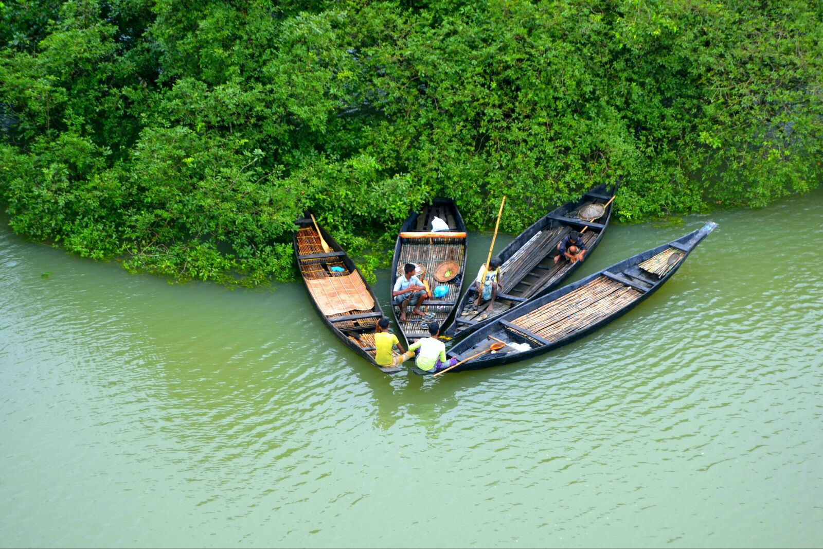 Nikon D3100 sample photo. Natural, view, bangladesh photography