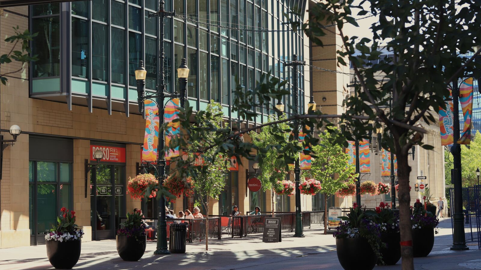 Canon EF 50mm F1.8 STM sample photo. Calgary photography
