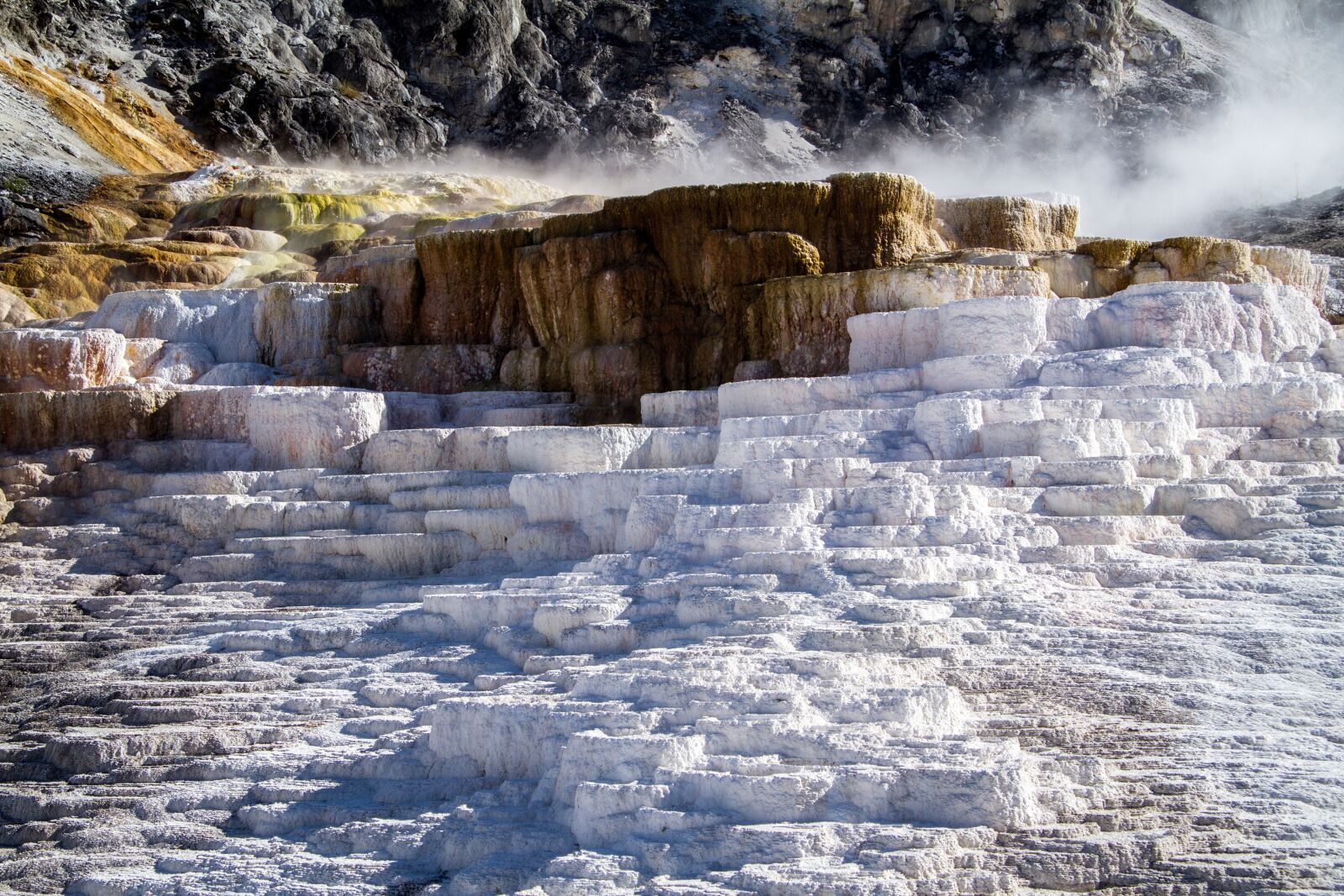 Canon EOS 7D sample photo. Yellowstone national park, wyoming photography
