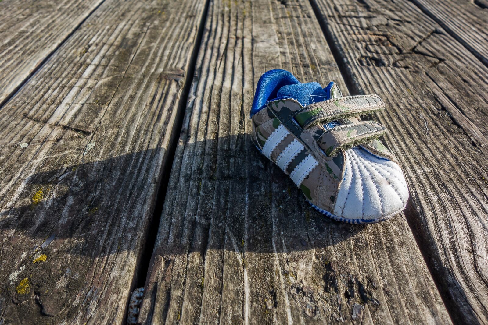 Sony Cyber-shot DSC-RX100 sample photo. Shoe, macro, line photography