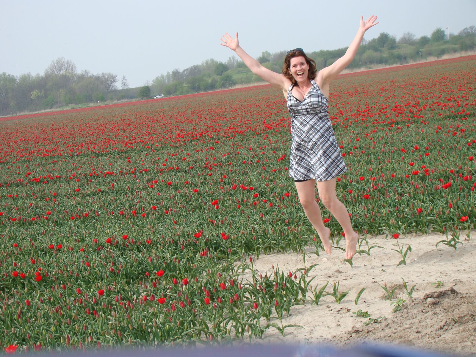 Sony Cyber-shot DSC-H50 sample photo. Tulip, flowers, spring photography