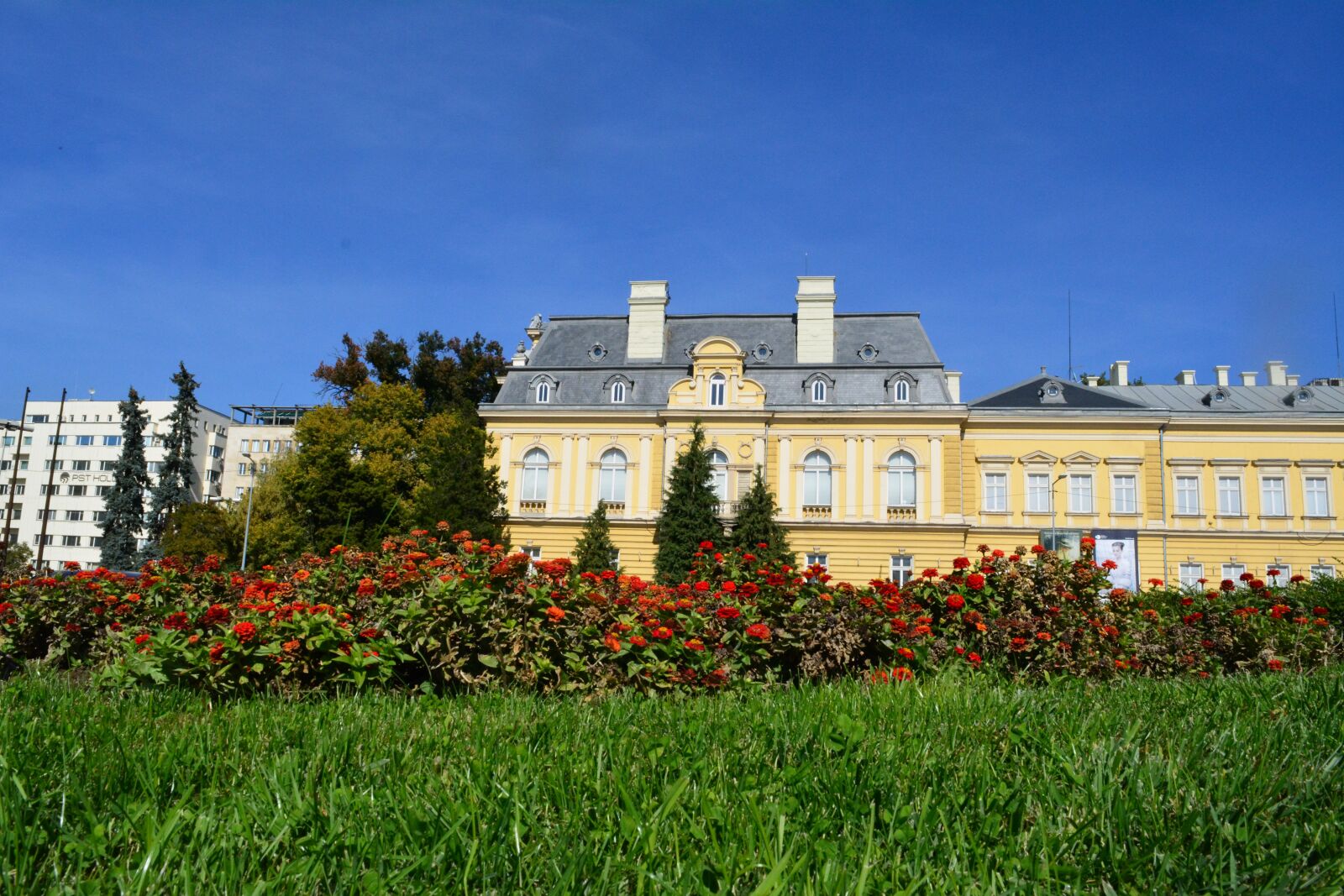 Nikon D5200 sample photo. Sofia, gallery, museum photography
