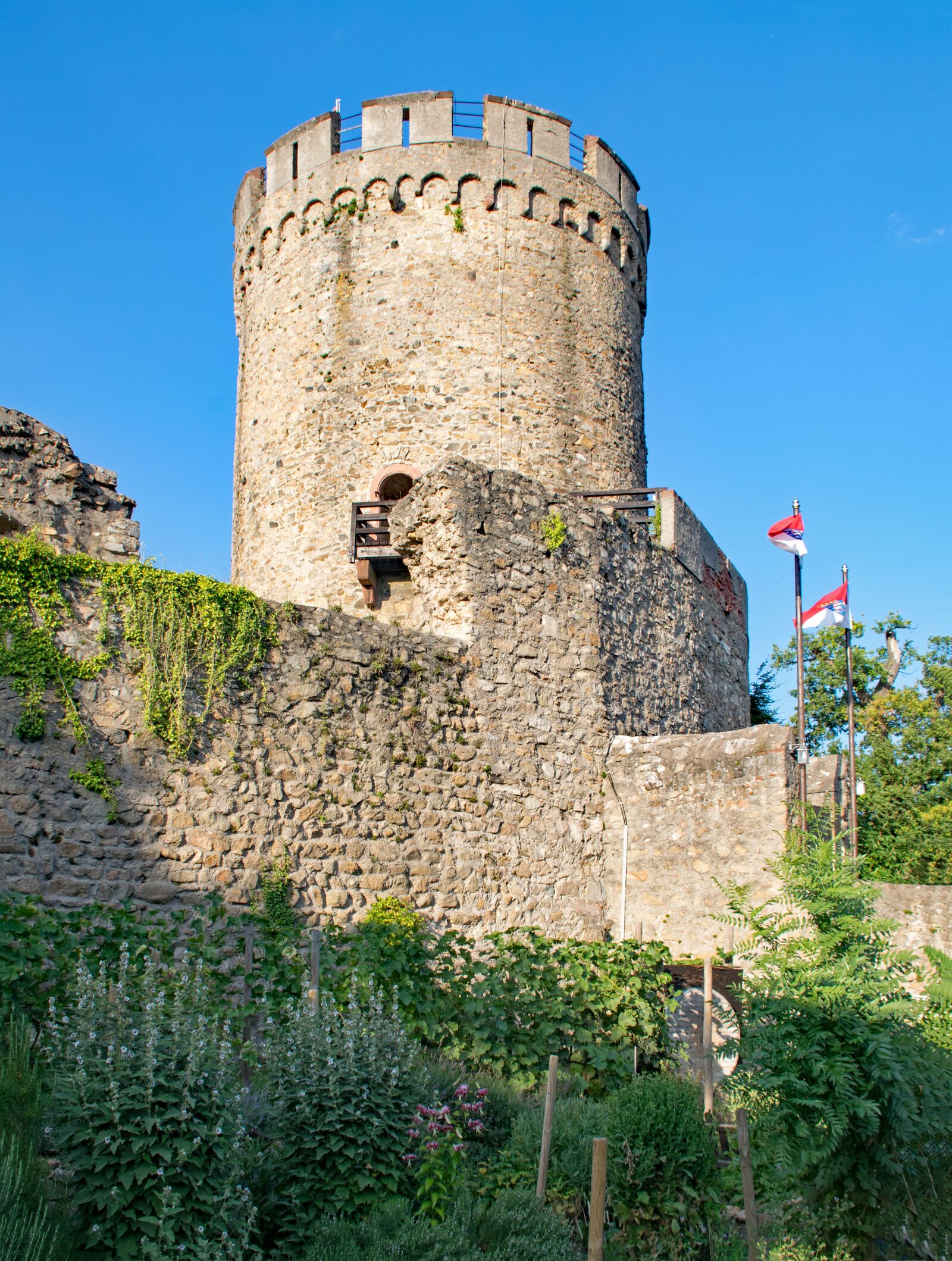 Nikon D5300 sample photo. Castle, alsbach, mountain road photography