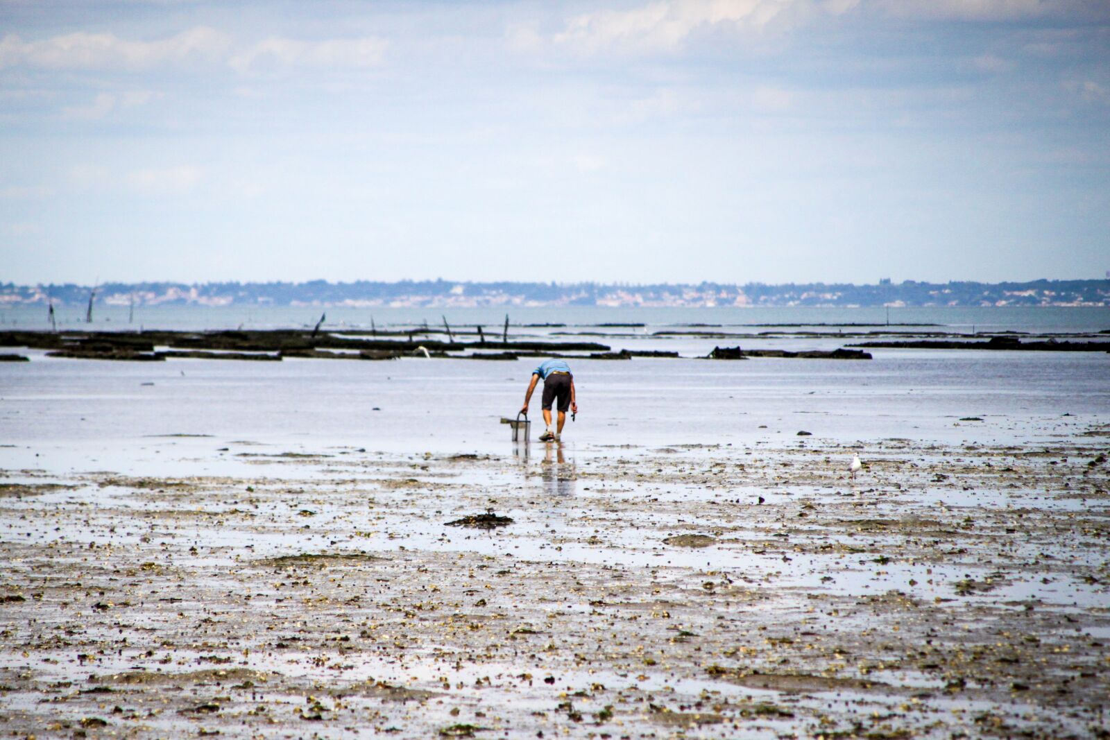 Canon EOS 500D (EOS Rebel T1i / EOS Kiss X3) + Canon TS-E 90mm F2.8 Tilt-Shift sample photo. Noirmoutier, fishing walking, the photography