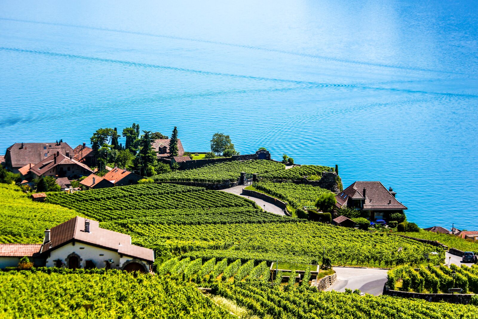 Canon EF 70-300mm F4-5.6 IS USM sample photo. Swiss, montreux, vineyard photography