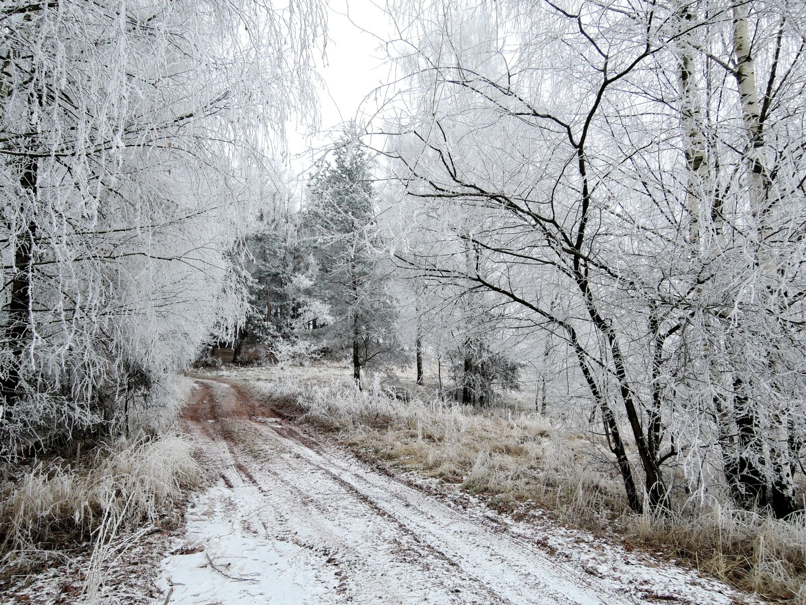 Nikon Coolpix P340 sample photo. Winter, landscape, view photography