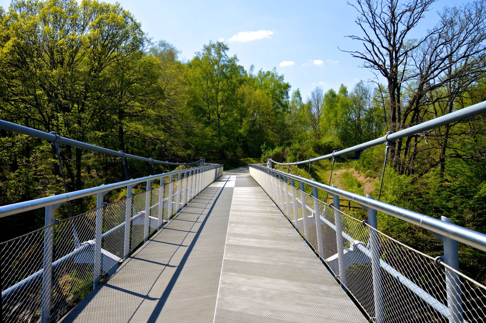 Nikon D3200 sample photo. Eifel, bridge, hiking photography
