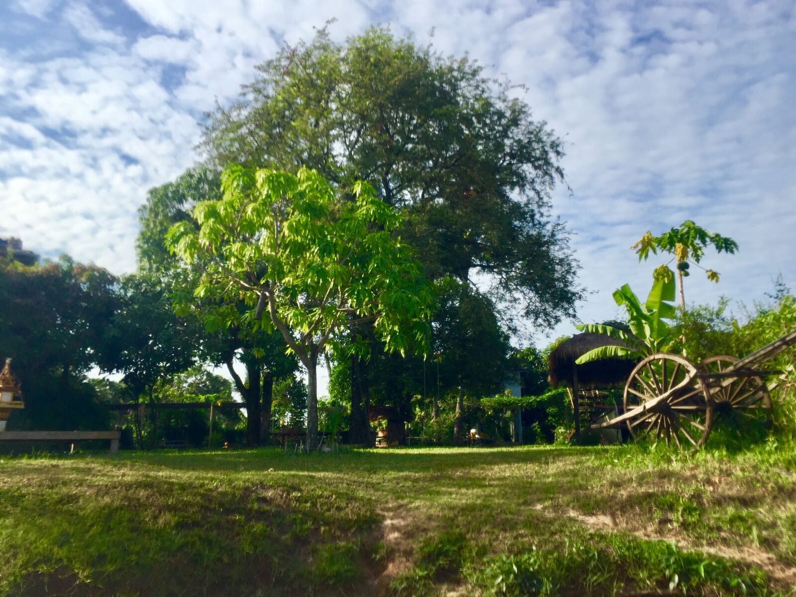 iPhone 6 Plus back camera 4.15mm f/2.2 sample photo