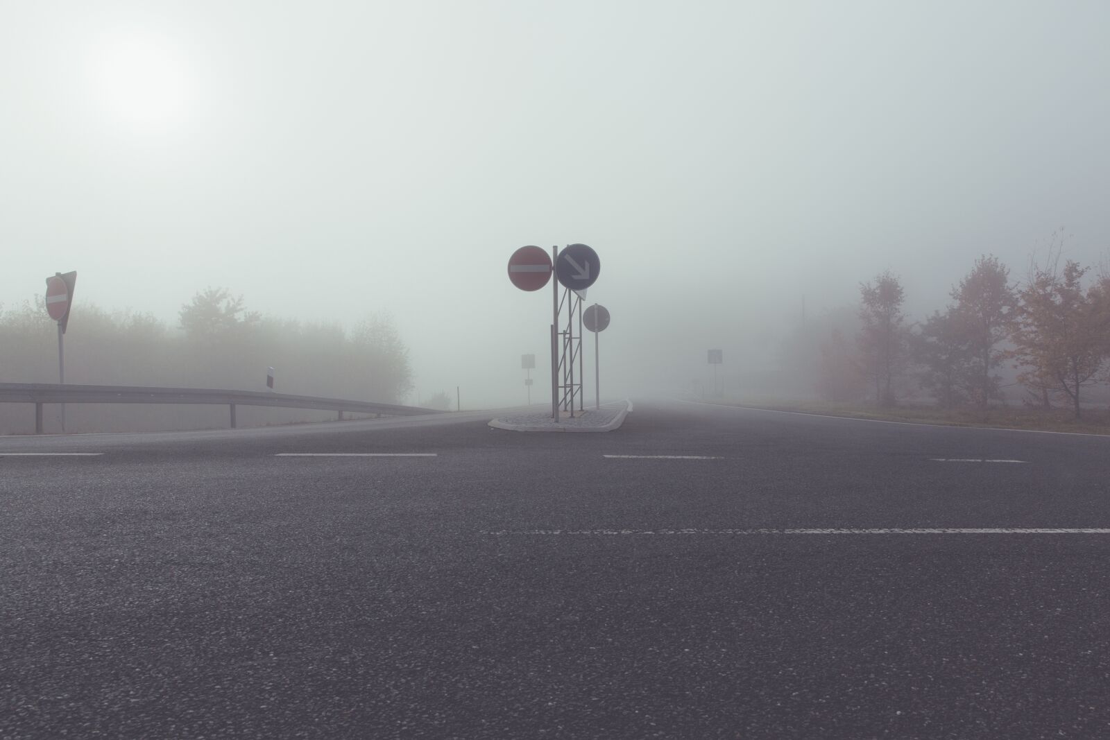 Canon EF 24-70mm F2.8L II USM sample photo. Fog, road, highway photography