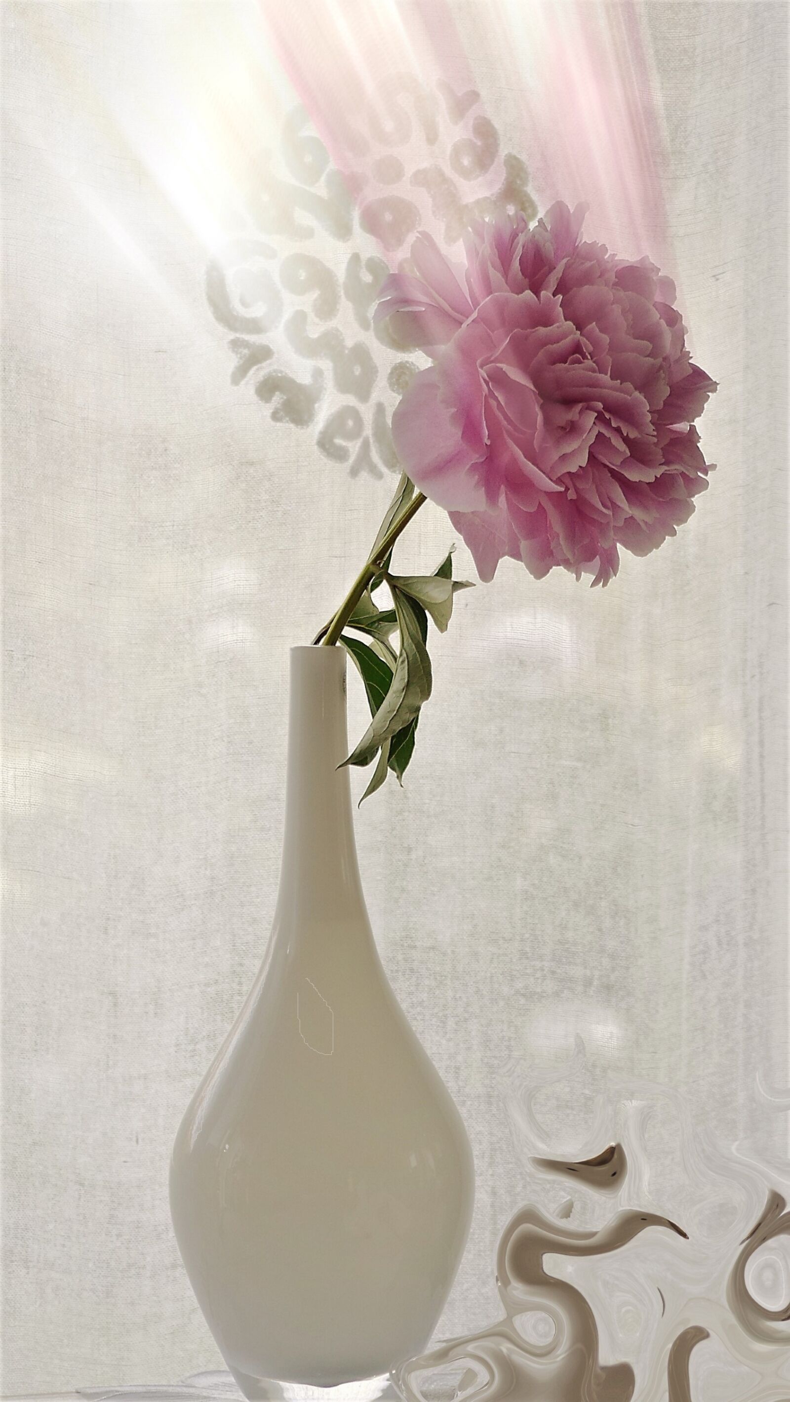 Panasonic Lumix DMC-GH3 sample photo. Flower, peony, romantic photography