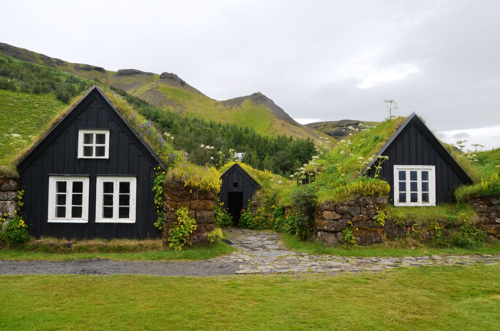 Nikon D5100 sample photo. Skogar, museum, iceland photography