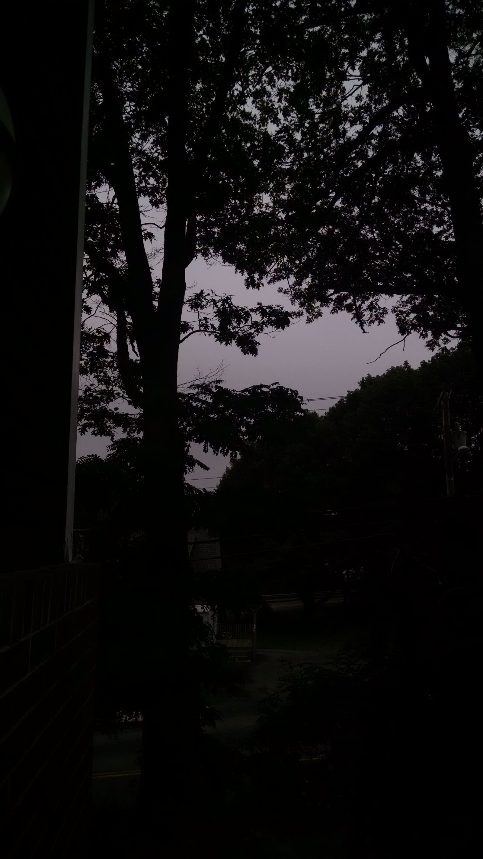 Motorola Moto X (1st Gen) sample photo. Clouds, grey, silhouette, trees photography
