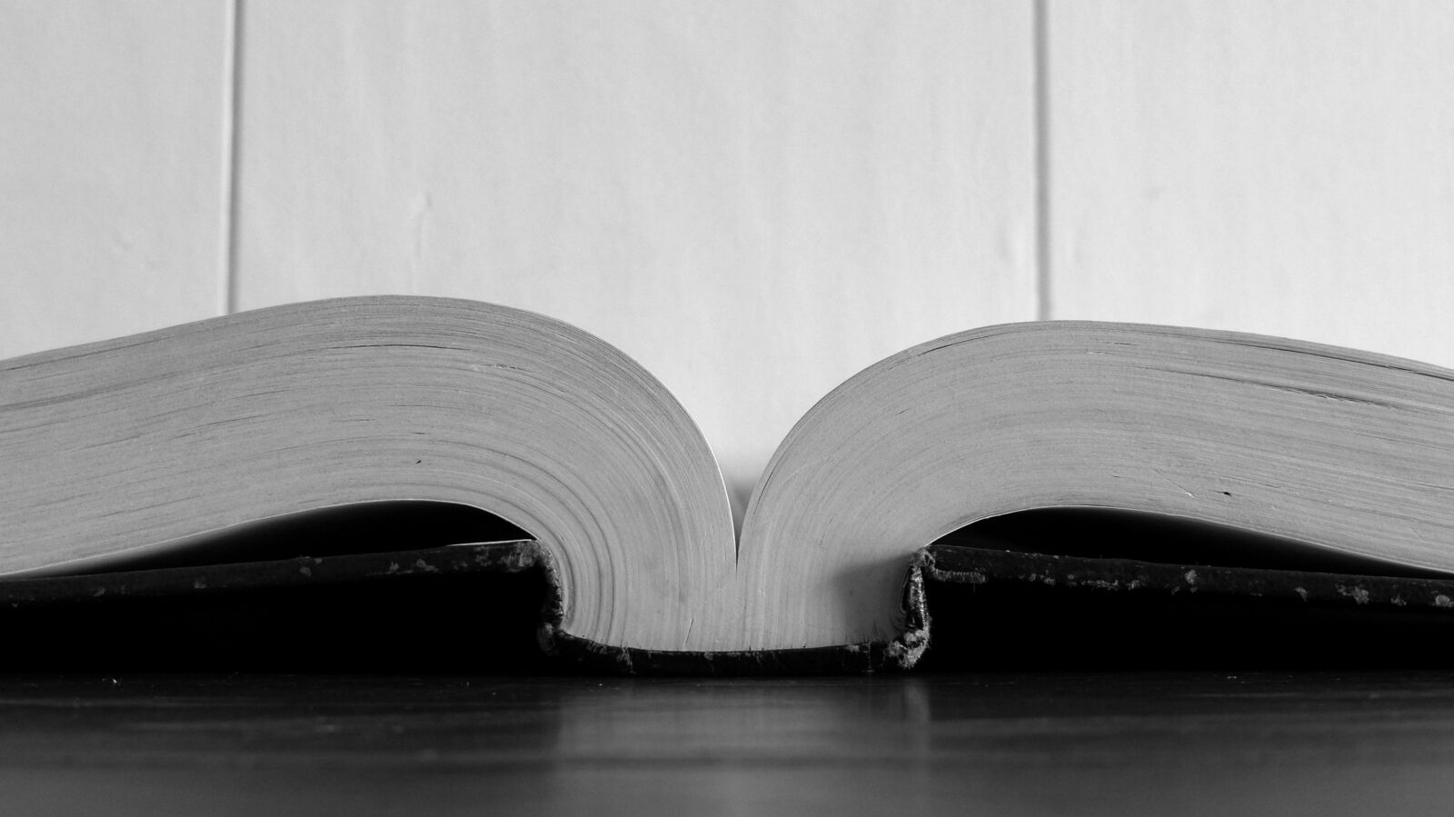 Panasonic Lumix DMC-FZ200 sample photo. Book, study, bible photography
