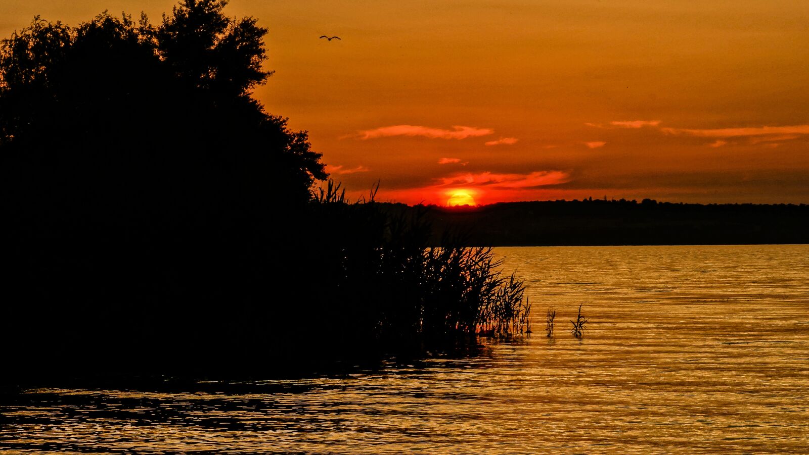 Sony Cyber-shot DSC-RX100 sample photo. Sunset, dawn, twilight photography