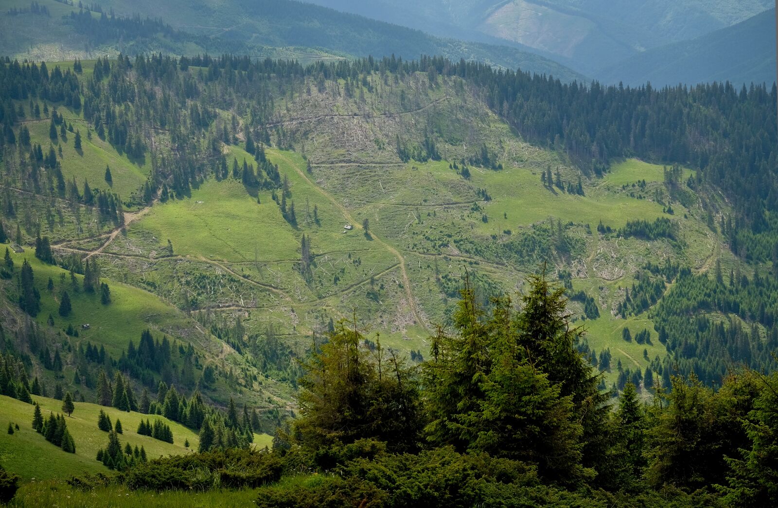 Fujifilm X-T1 sample photo. Mountains, the carpathians, landscape photography