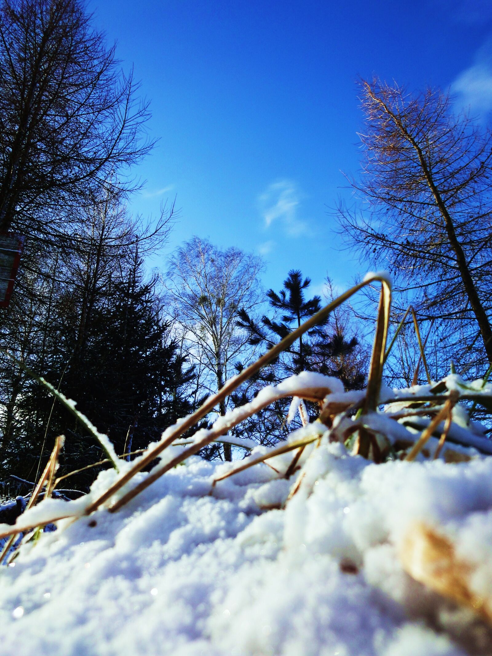 Sony Cyber-shot DSC-WX1 sample photo. Sky, snow, sun, sunshine photography