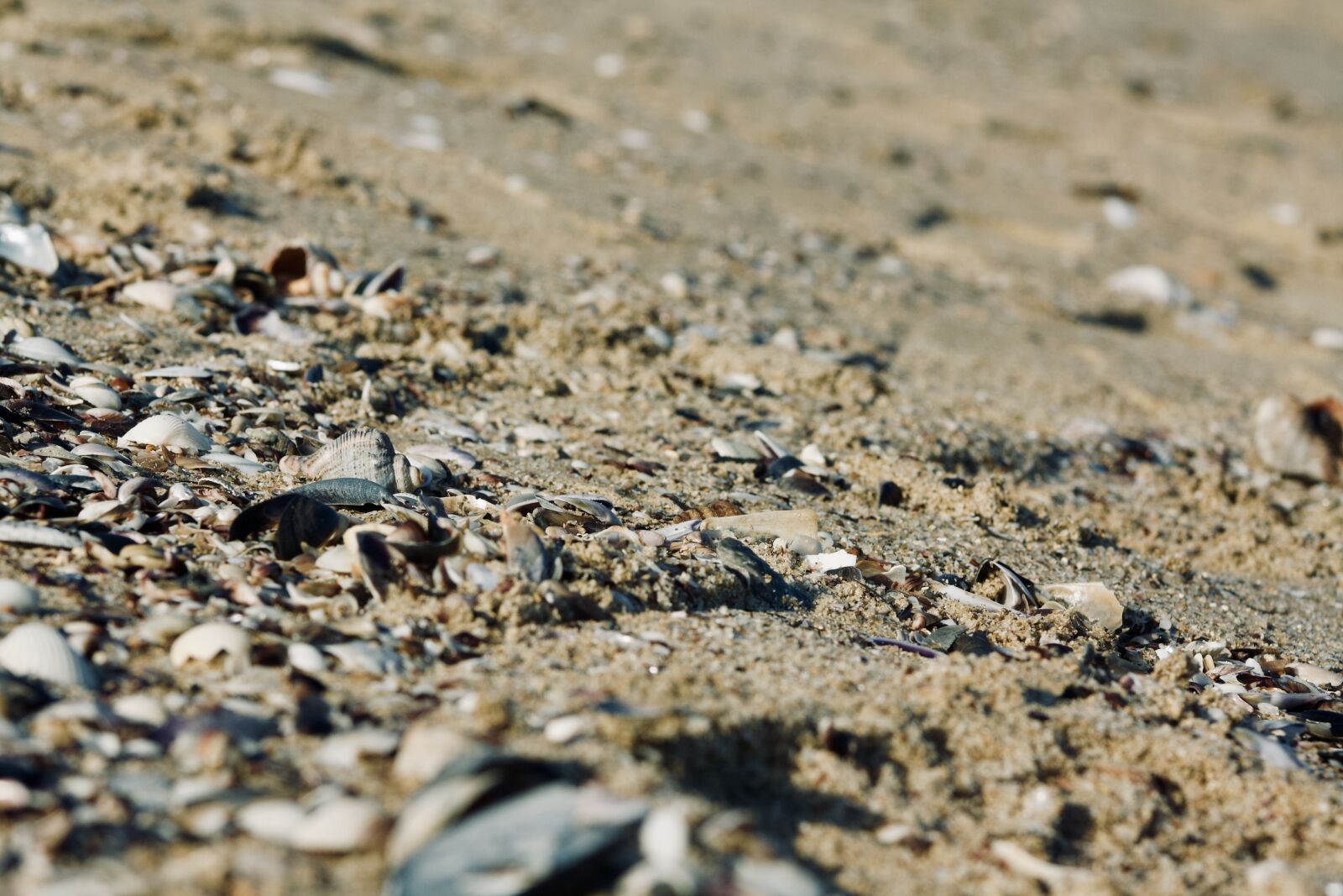 Canon EOS 1000D (EOS Digital Rebel XS / EOS Kiss F) sample photo. Sand, sea, beach photography