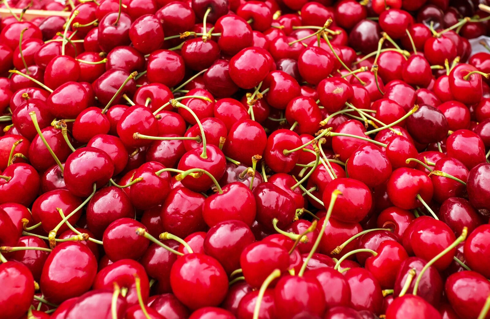 Fujifilm X-T10 + Fujifilm XF 35mm F1.4 R sample photo. Cherries, sweet cherries, heart photography