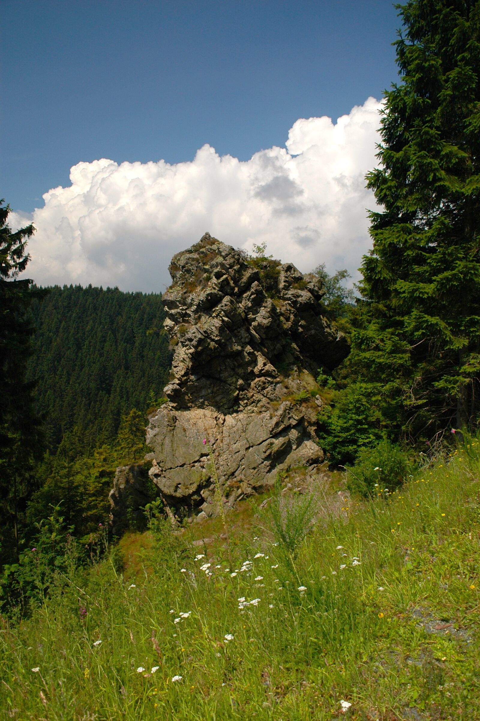 Nikon D70s sample photo. Rock, forest, resin photography