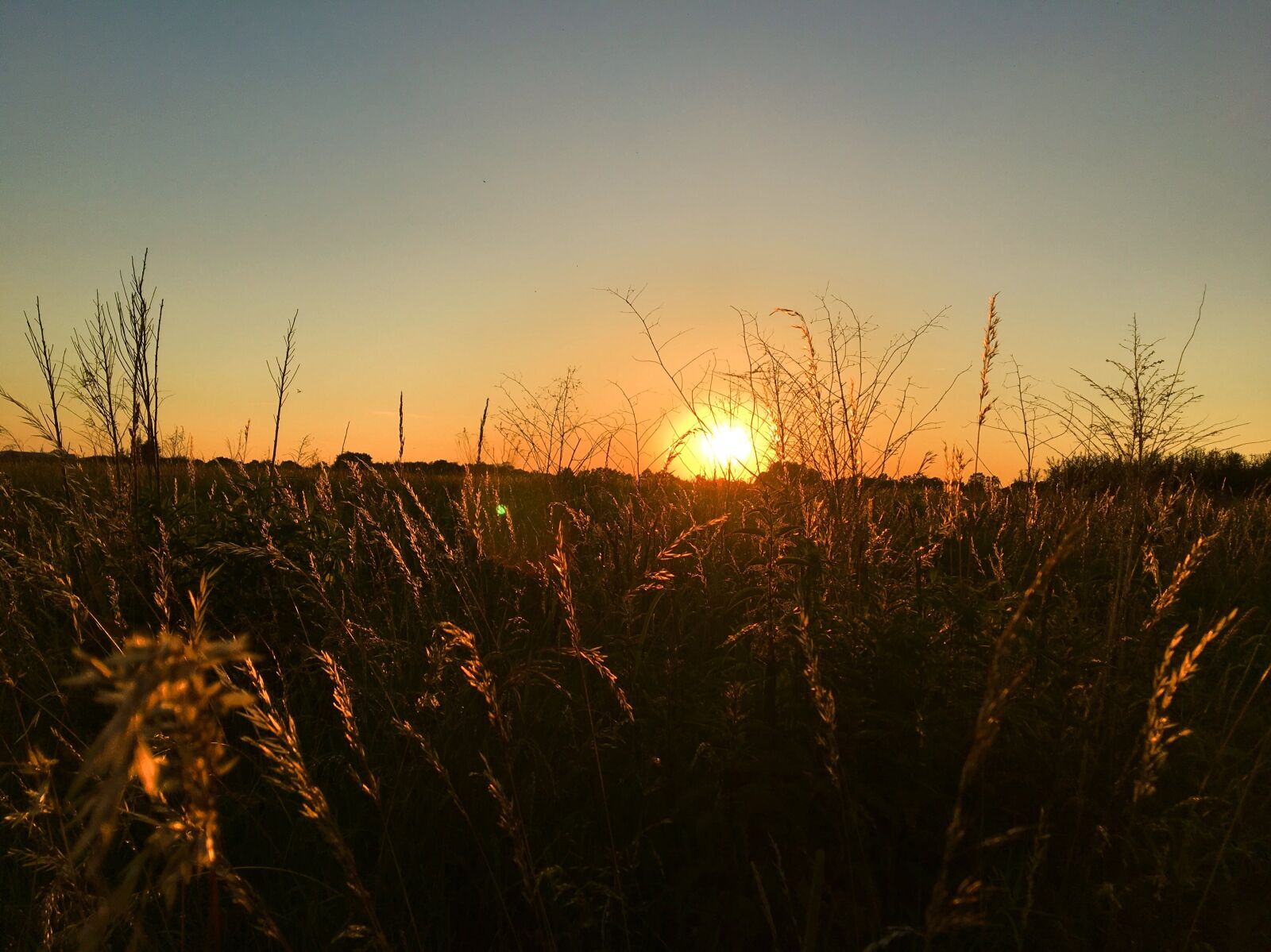 Apple iPhone 6s sample photo. Sunset, nature, himmel photography