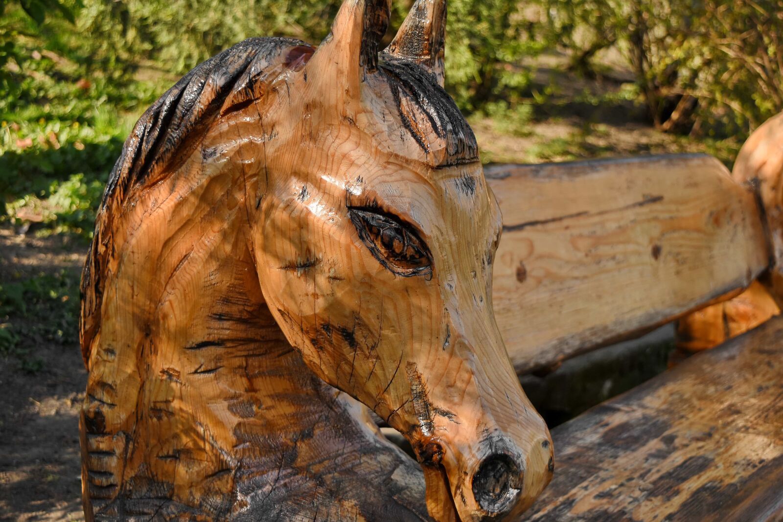 Nikon D5500 sample photo. Bench, furniture, head, sculpture photography