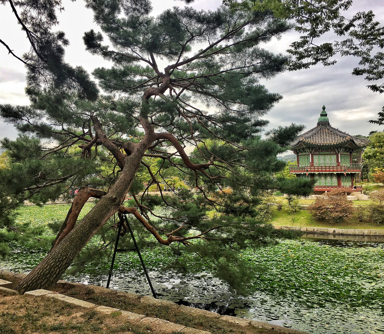 Apple iPhone 6s Plus sample photo. Korea, jingfu palace, government photography