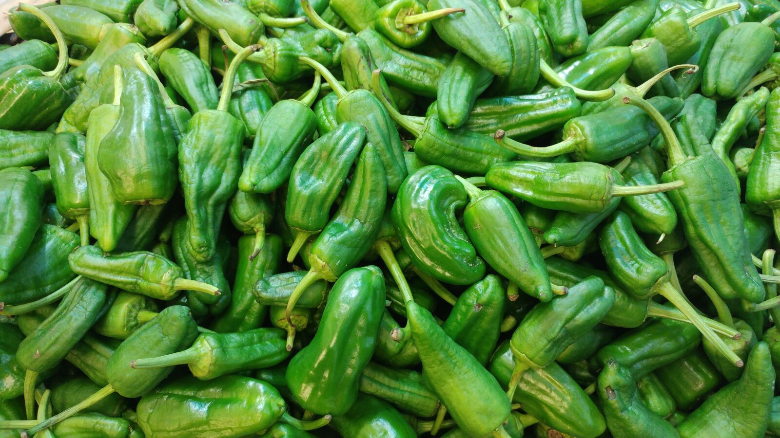 LG G5 sample photo. Padron, peppers, spanish photography