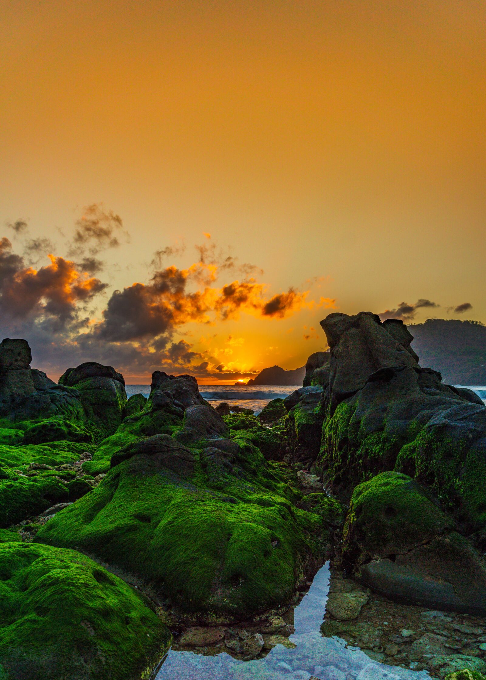 Sony a6000 sample photo. Sunset, beach, green photography