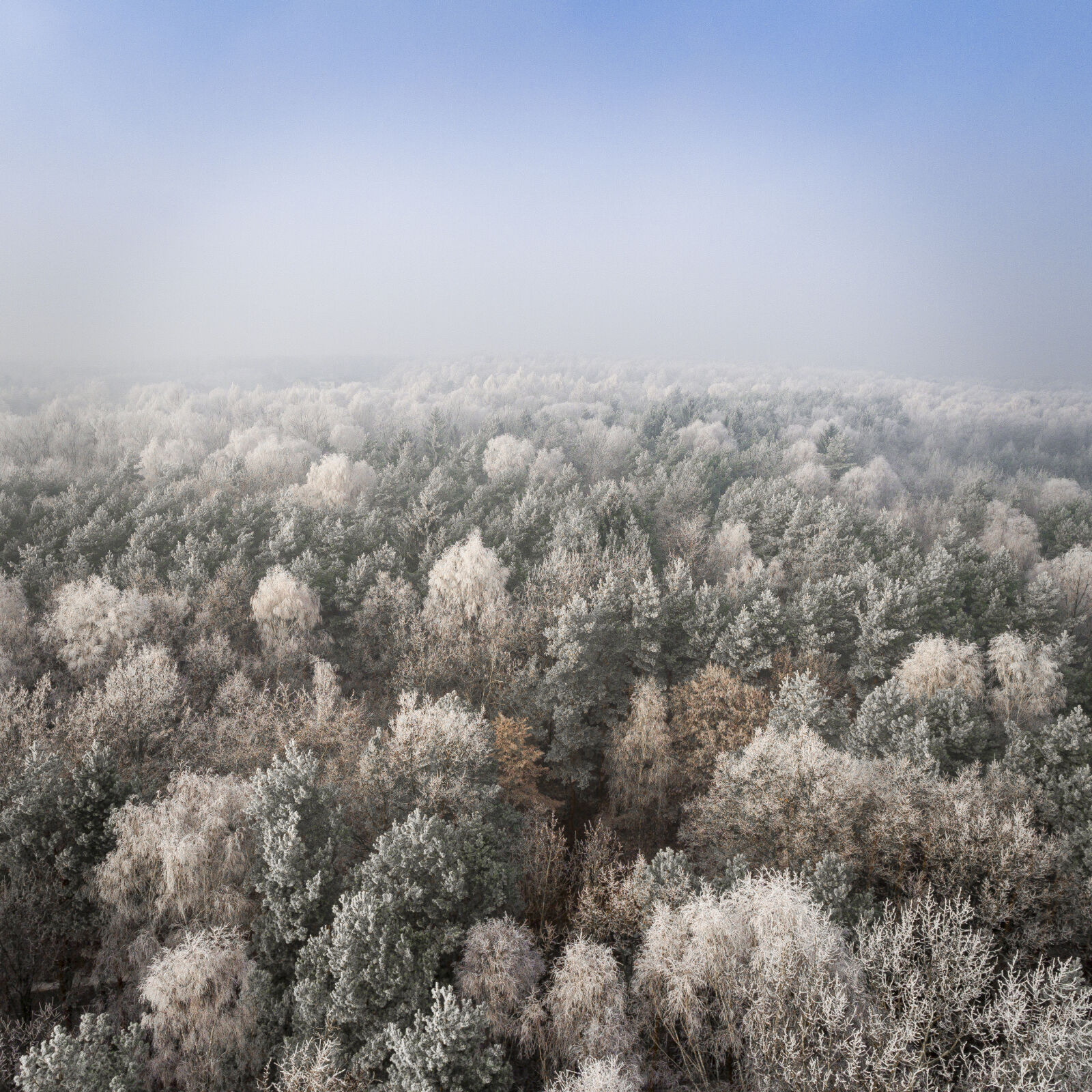 DJI FC330 sample photo. Above, aerial, altitude, background photography
