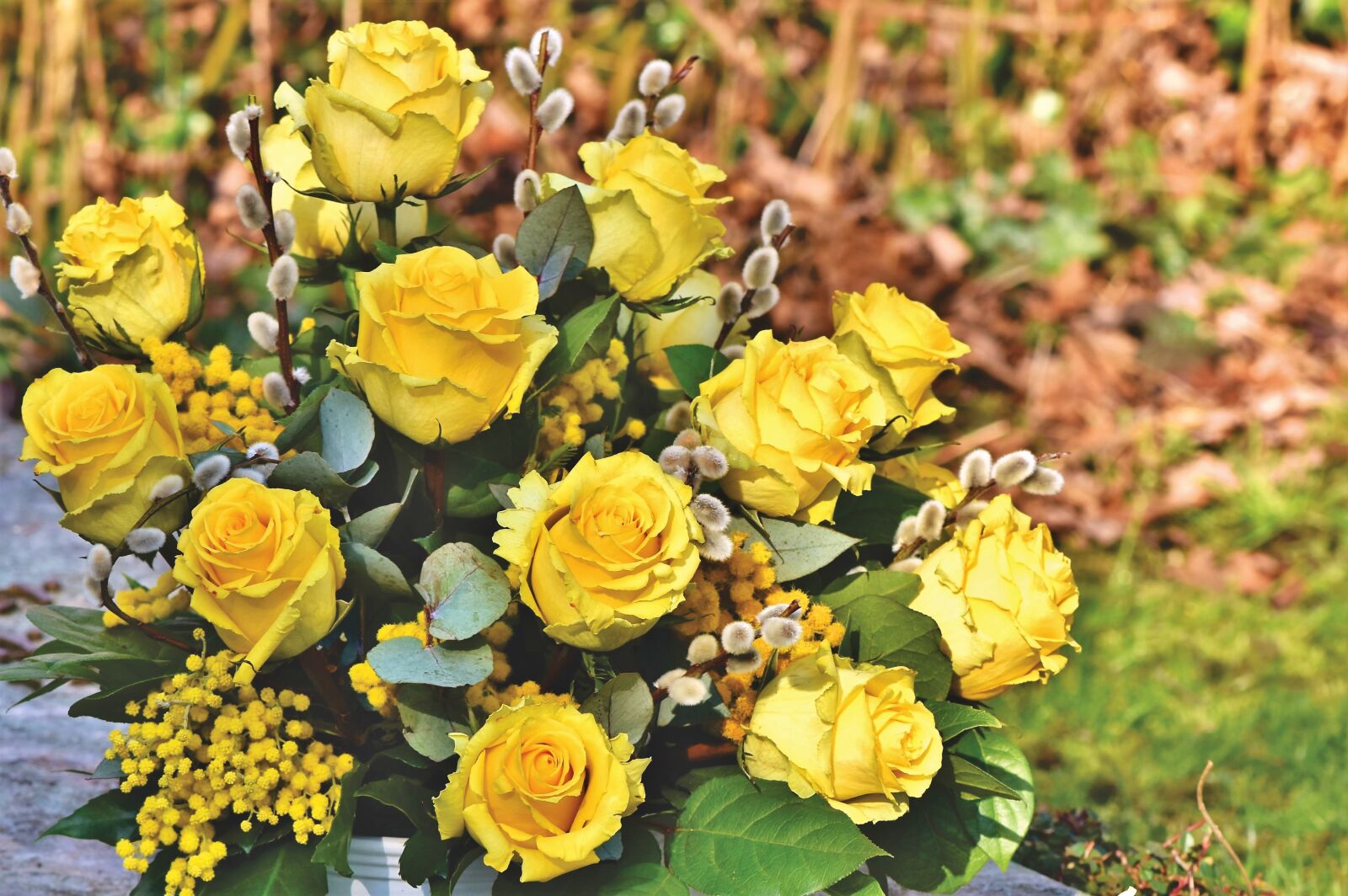 Nikon D7200 sample photo. Rose, bouquet of roses photography