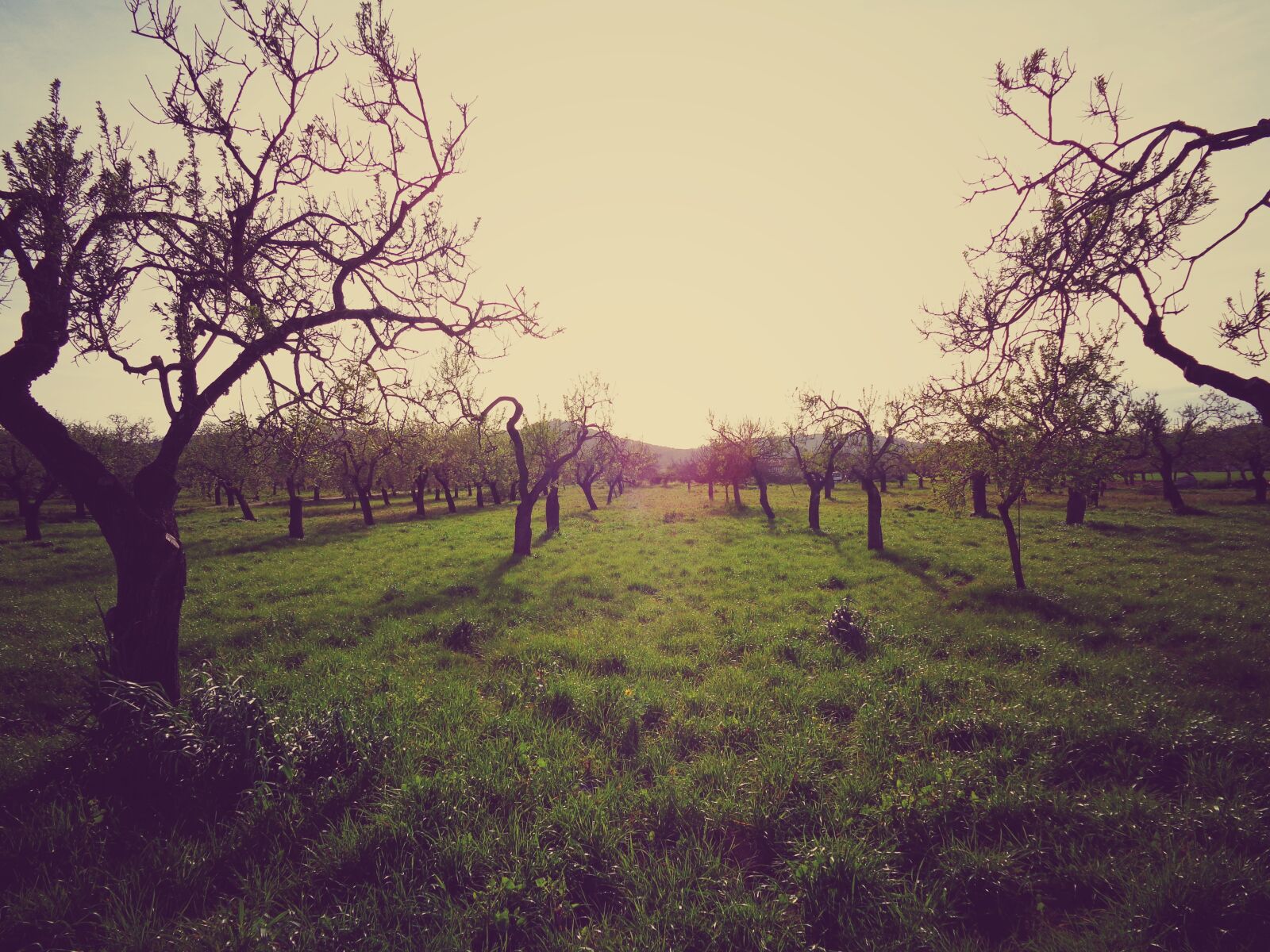 Sony Cyber-shot DSC-W830 sample photo. Field, nature, landscape photography