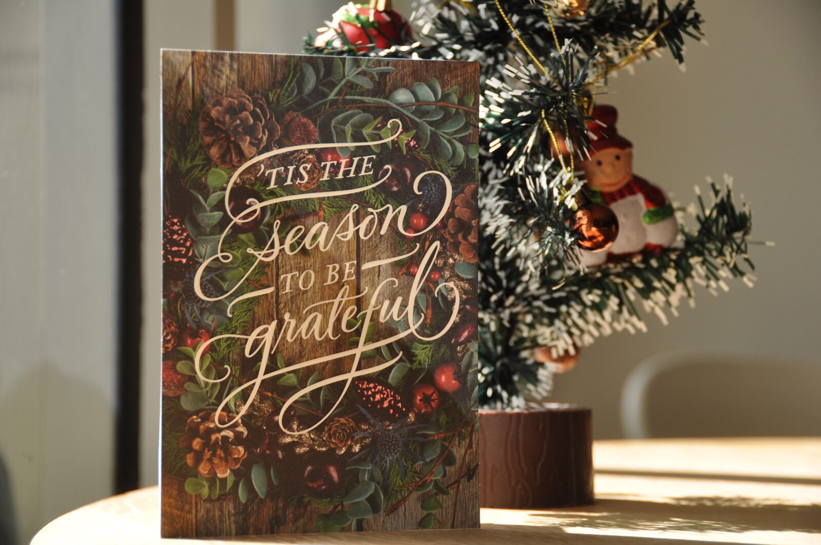Nikon D90 sample photo. Christmas, holidays, card photography