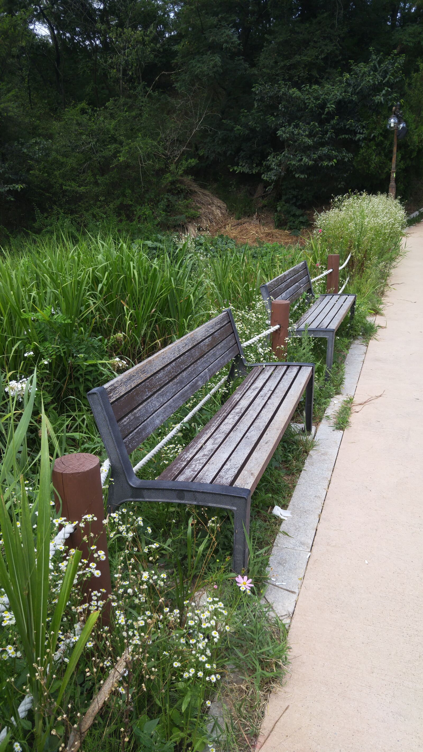LG G4 sample photo. Bench, chair, roadside photography