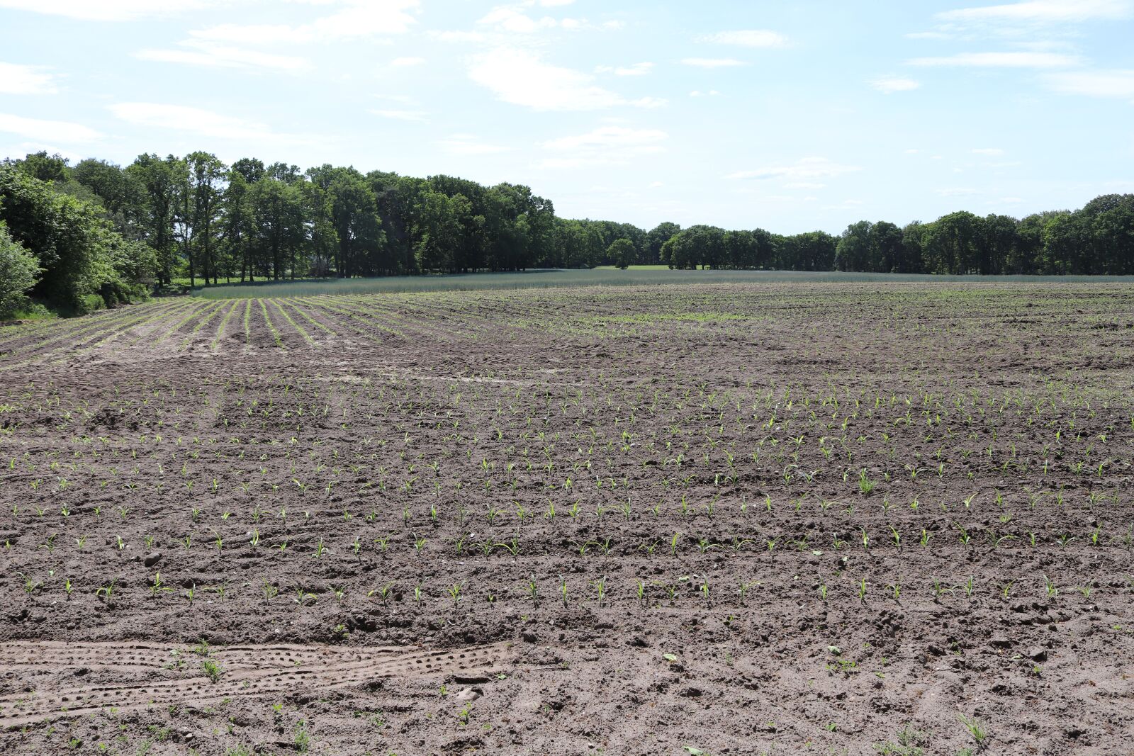 Canon EOS 200D (EOS Rebel SL2 / EOS Kiss X9) sample photo. Arable, sky, agriculture photography