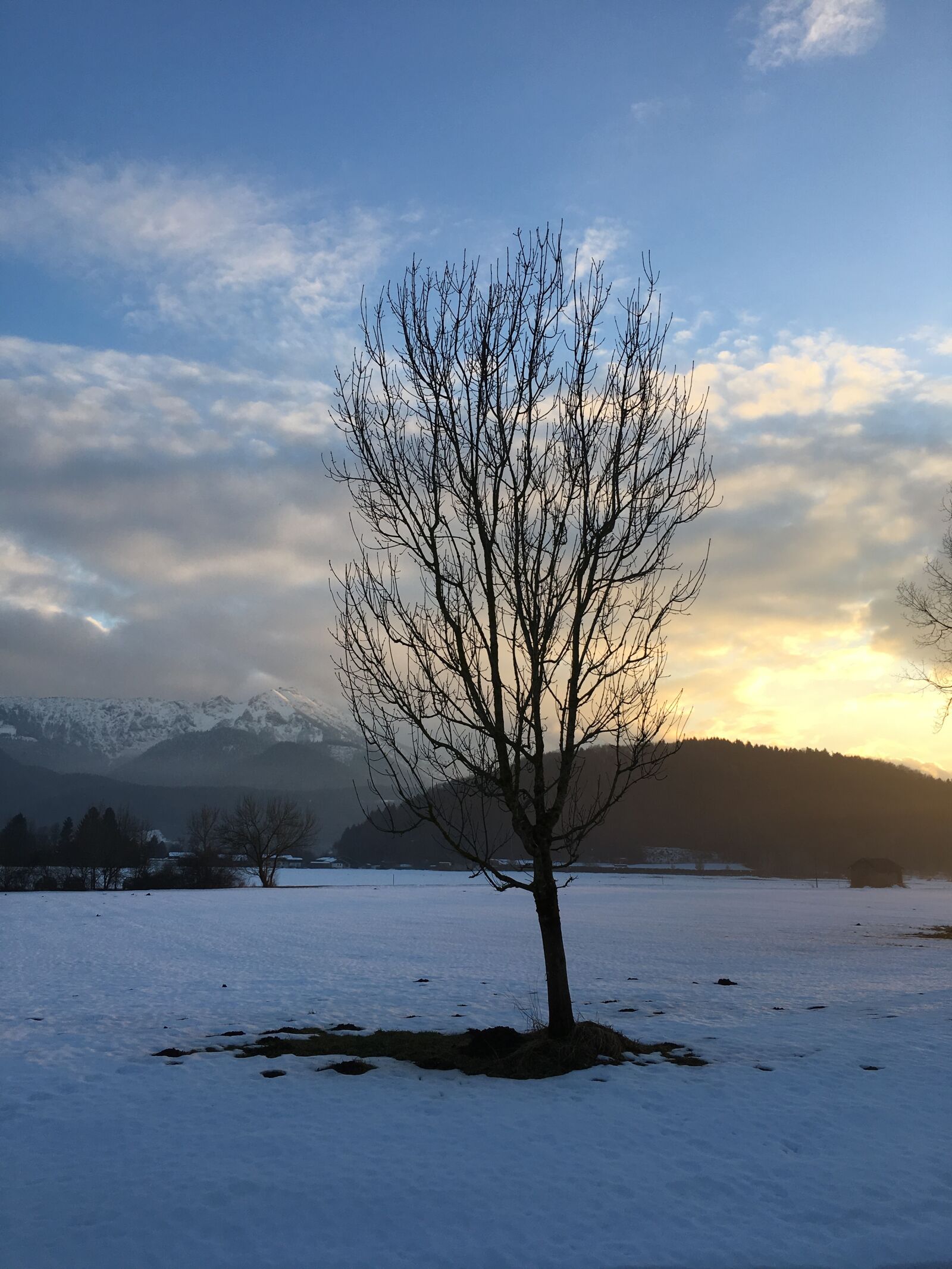 Apple iPhone 6s sample photo. Bavaria, mountains, tree photography