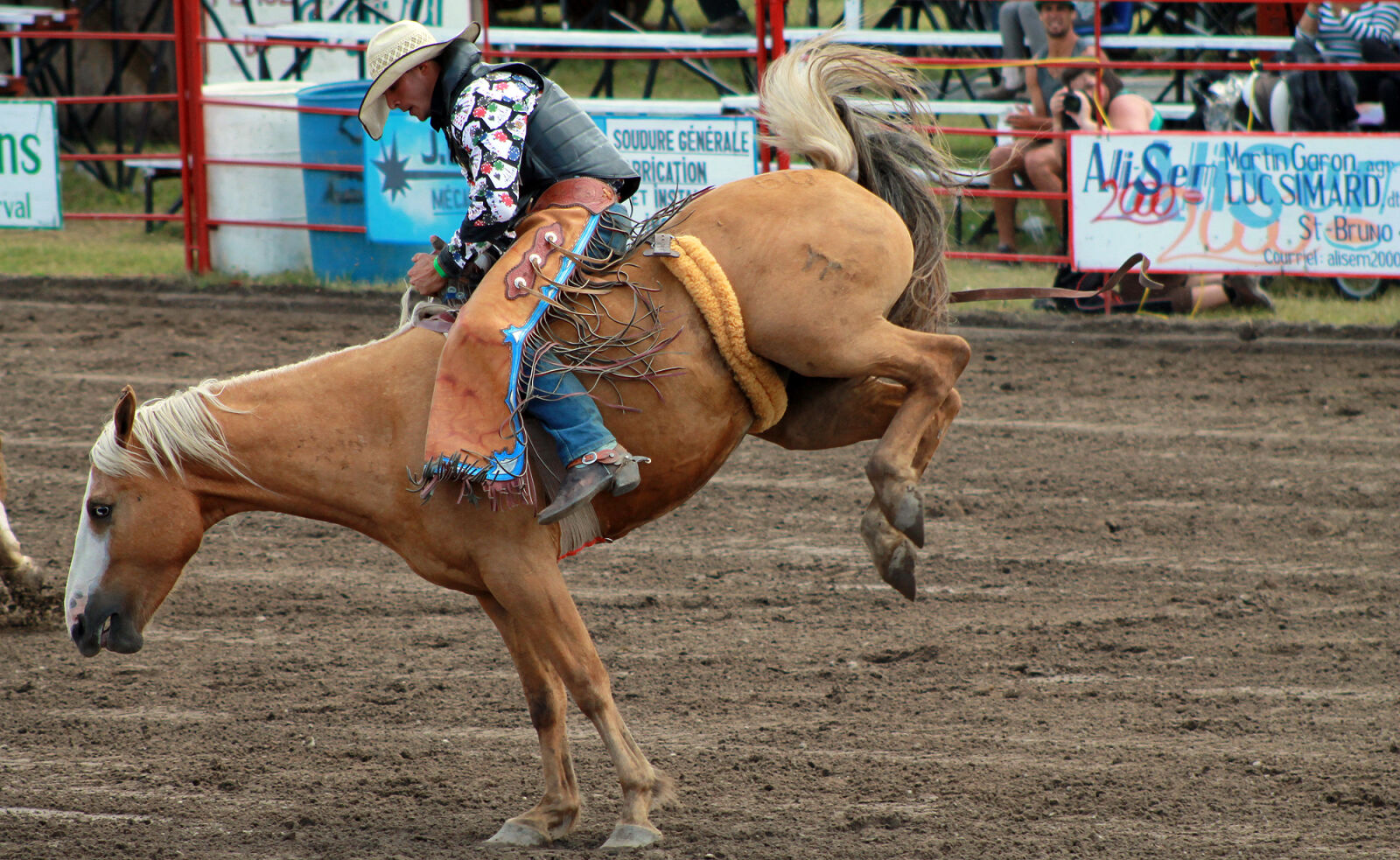 Canon EOS 1100D (EOS Rebel T3 / EOS Kiss X50) sample photo. Cowboy, horse, rodeo photography