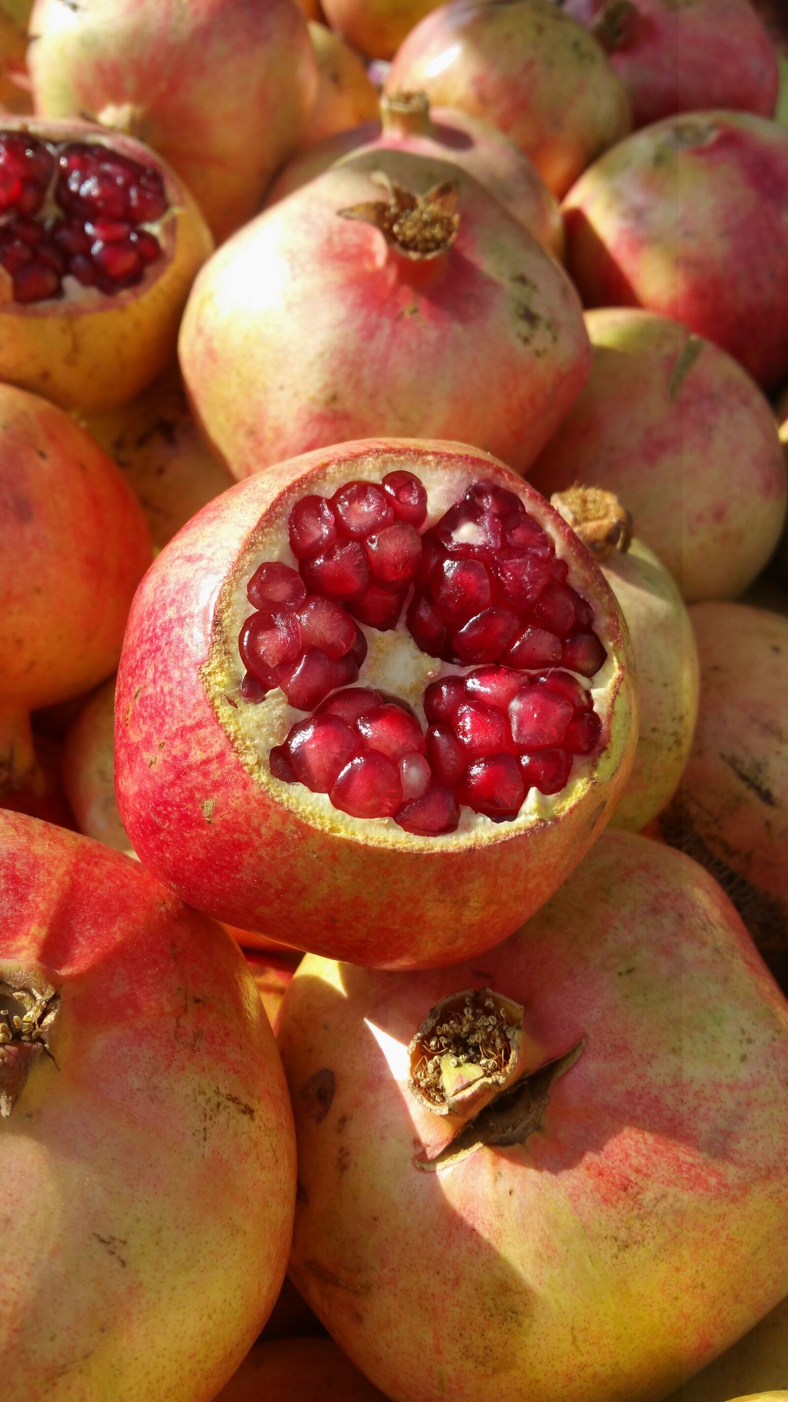 Samsung Galaxy Note4 sample photo. Yemen, pomegranate, fruit photography