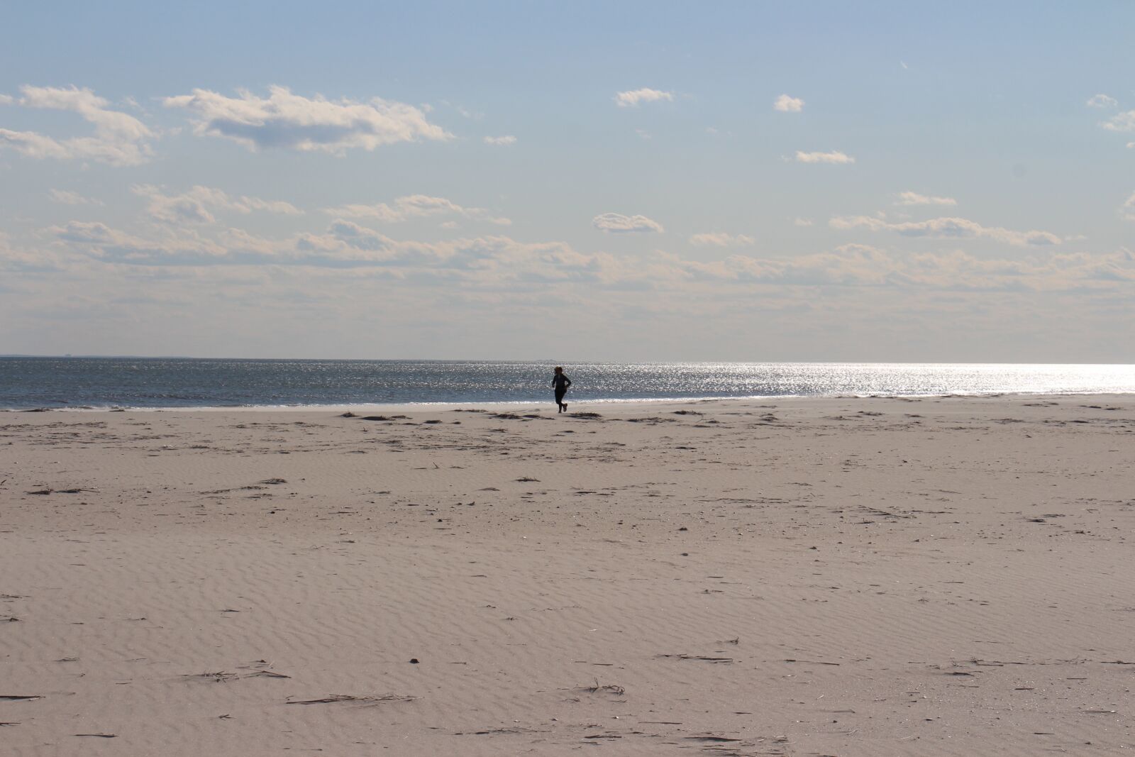 Canon EOS 700D (EOS Rebel T5i / EOS Kiss X7i) sample photo. Beach, winter, runner photography