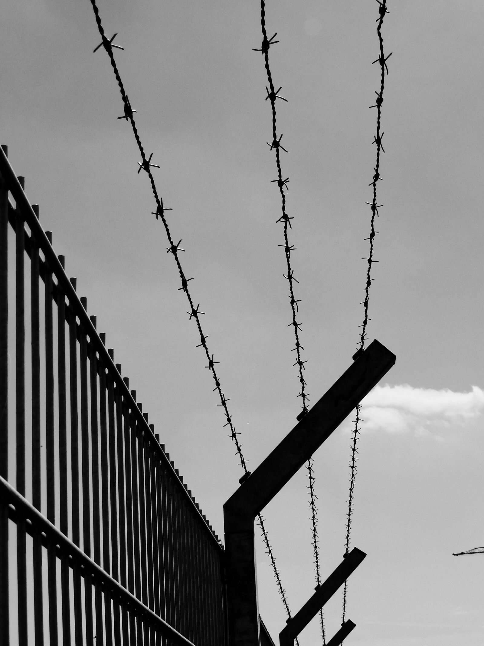Nikon Coolpix P900 sample photo. Fence, security, sure photography