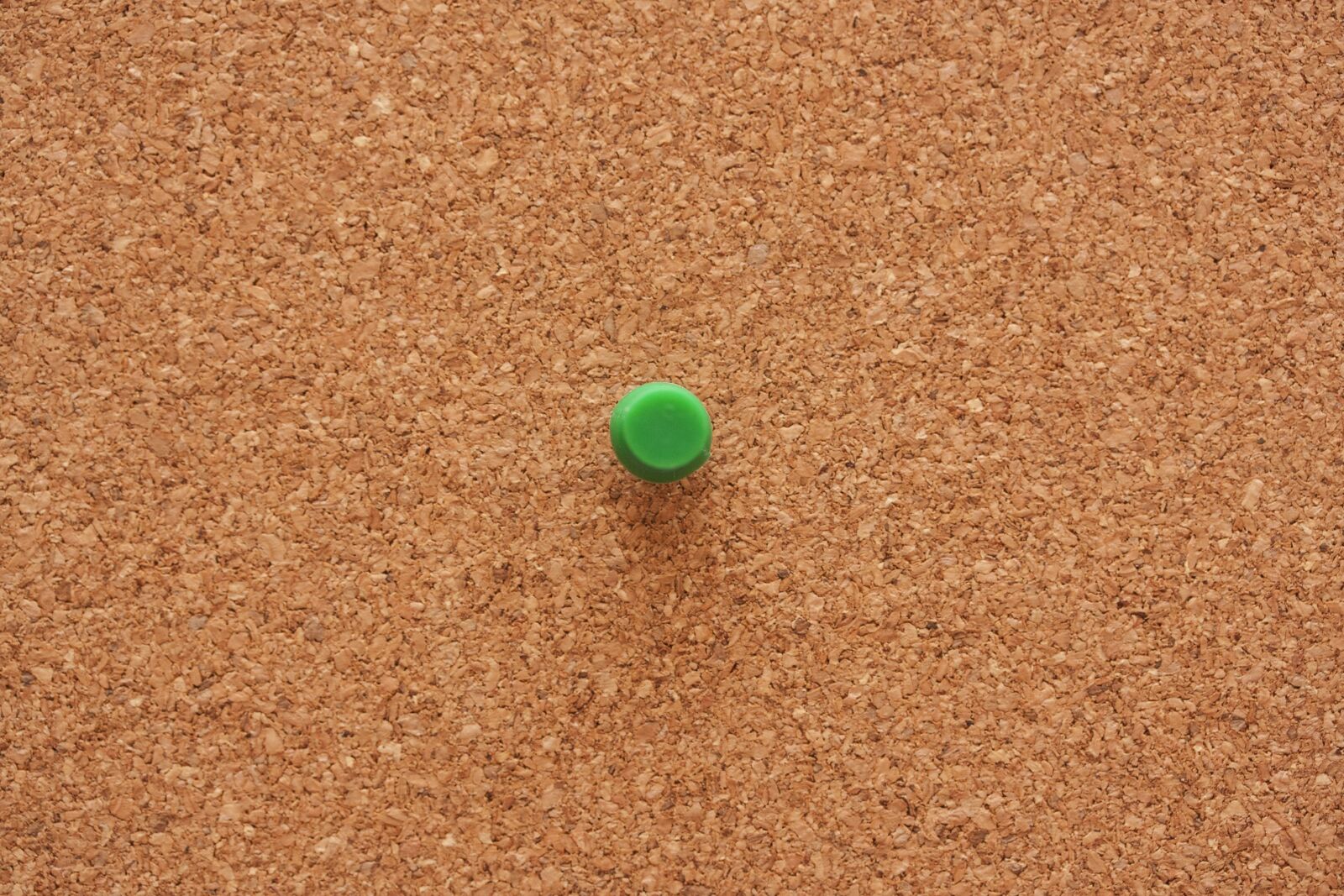Canon EOS 40D sample photo. Mushroom, square cork board photography